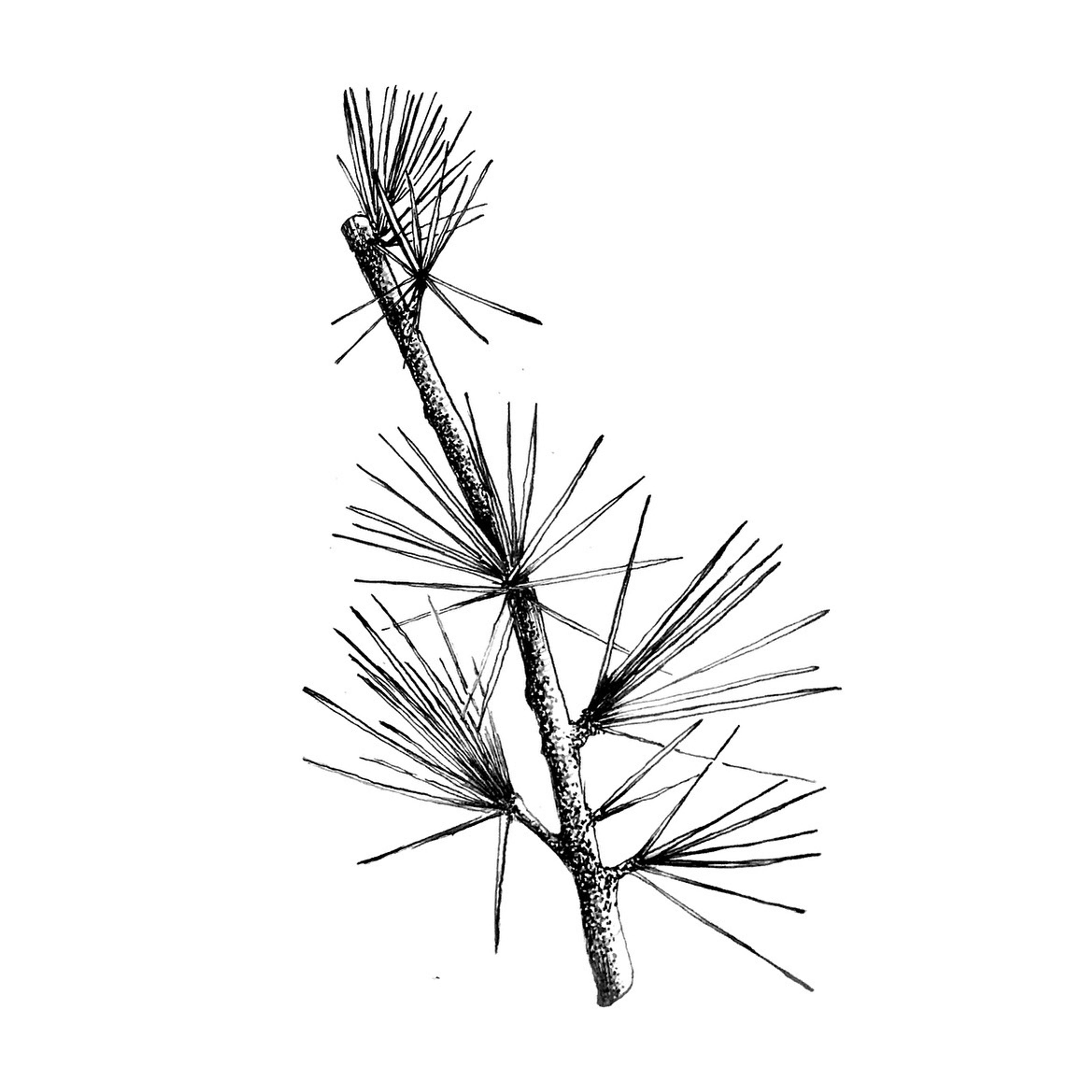 eab7cbd8-86cd-4229-a286-99e12371e45e.jpeg