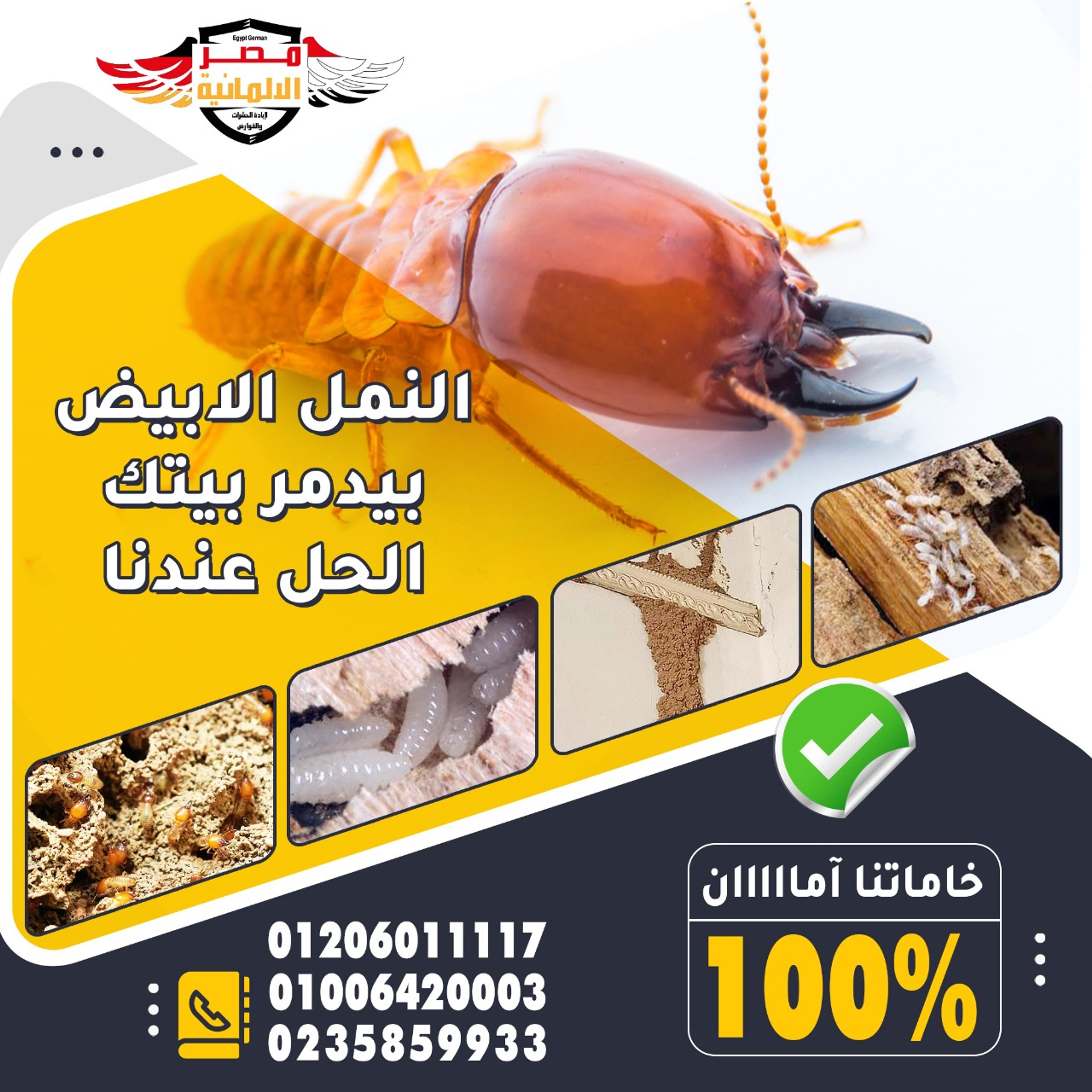 eabdc247-2fe5-4a6c-be75-bd1c9373724e.jpeg