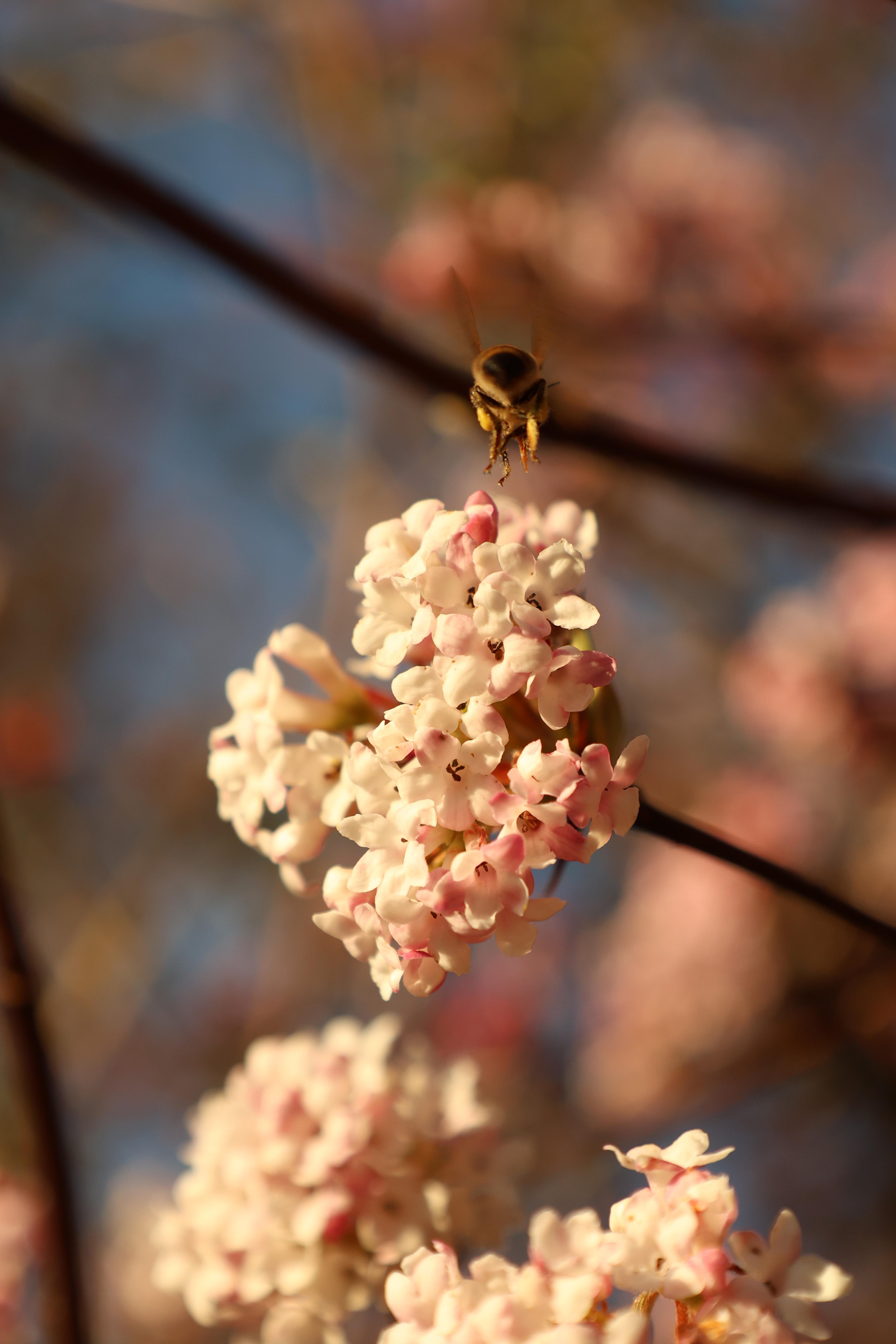 eae00b82-b80c-4849-8570-fbb187517f34.jpeg