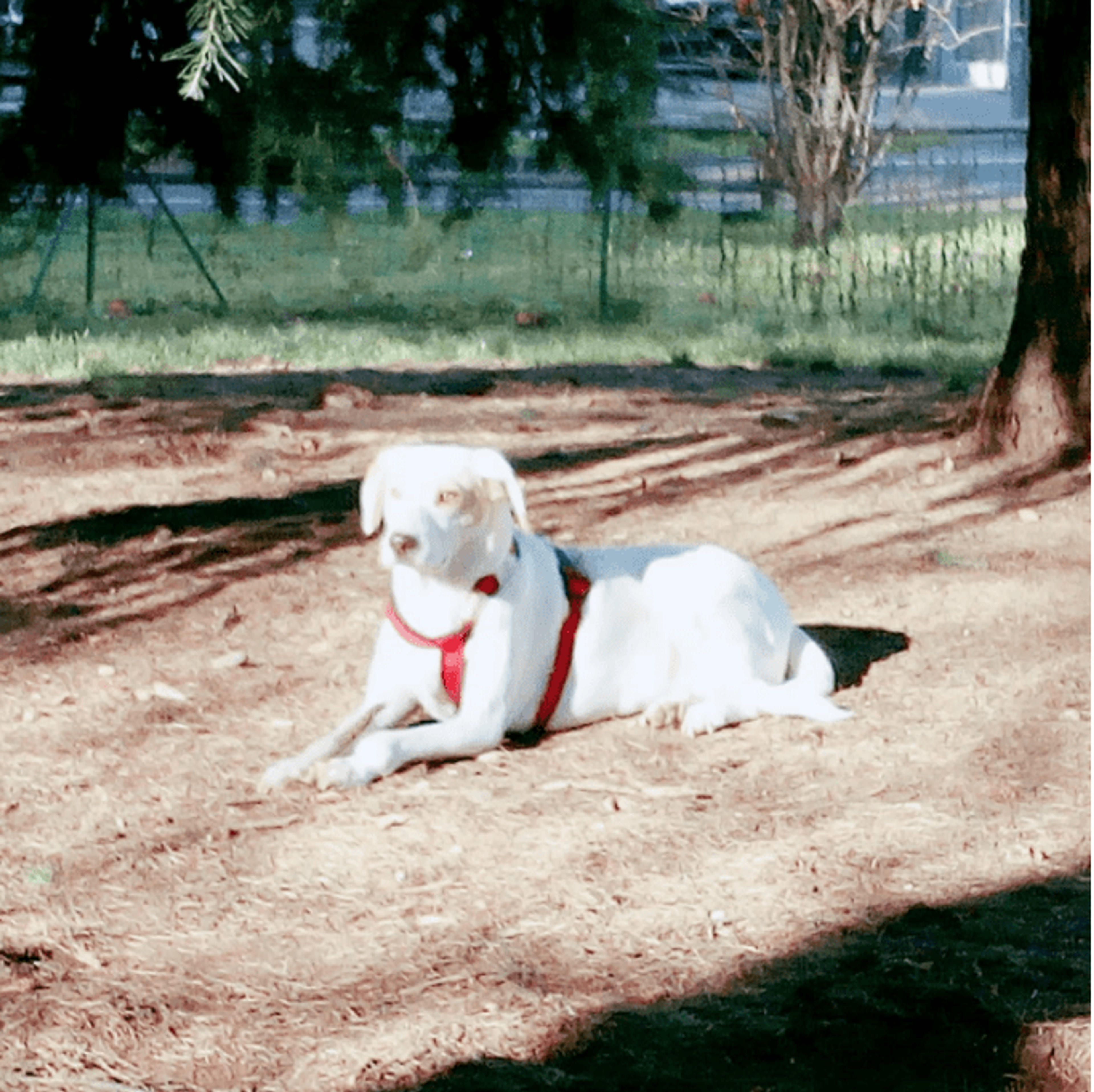 eb072f5b-65be-4877-b6ab-5ef96c3f4d1e.png