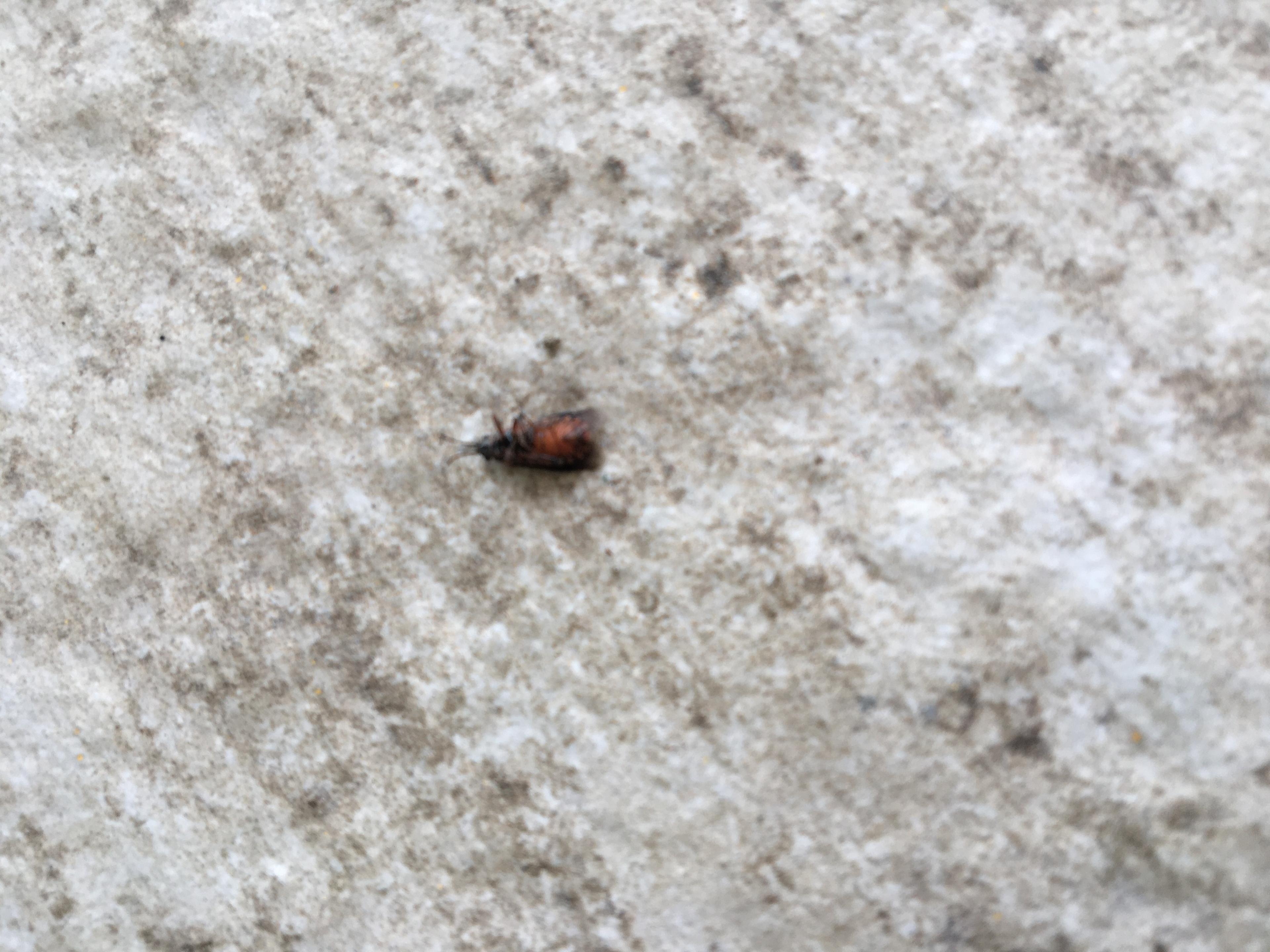 ebdba147-f22b-46a0-a503-8d7a1aa5ae79.jpeg