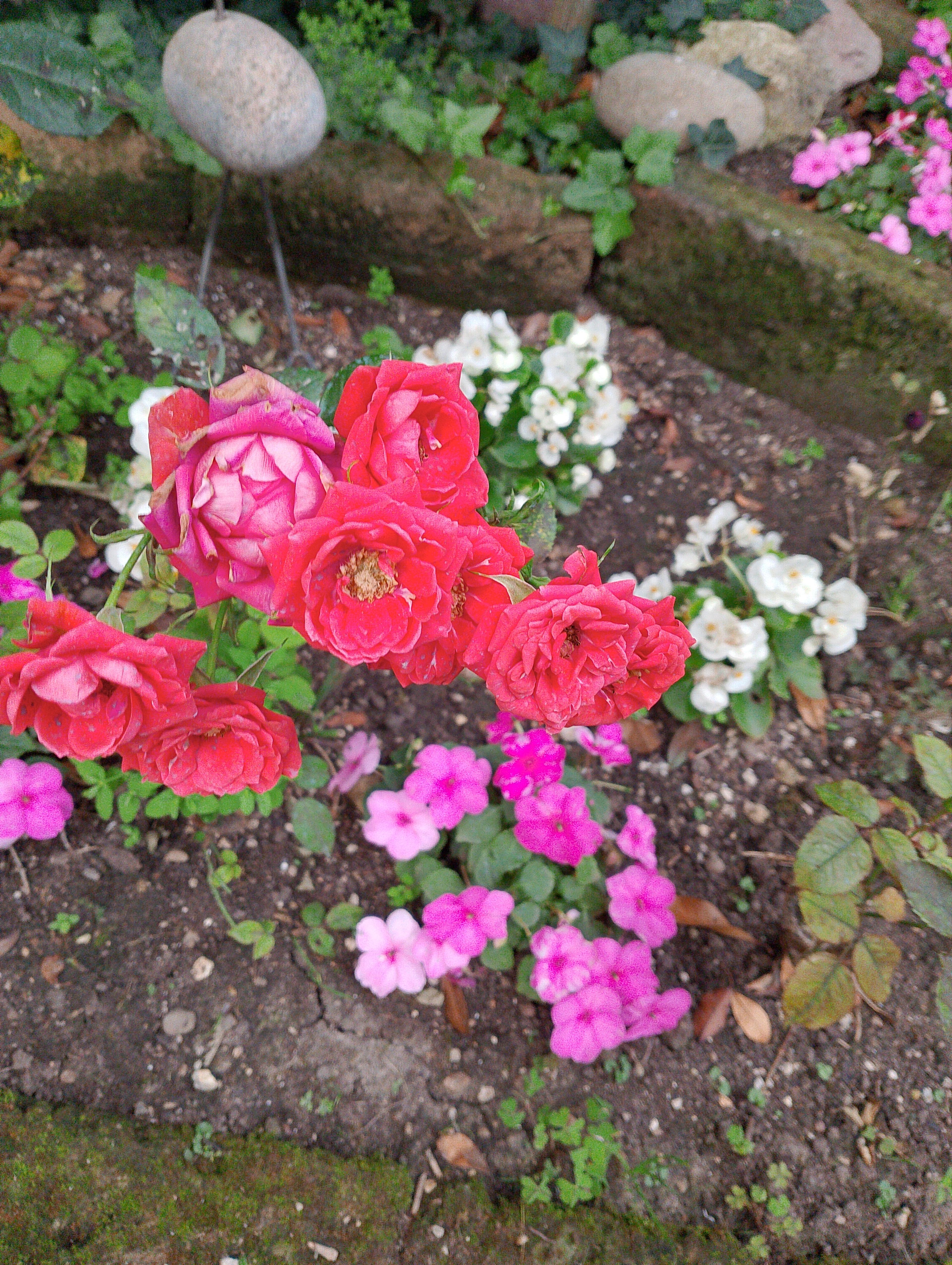 ec217be3-d2b6-4509-9e1f-c53a613c436f.jpeg