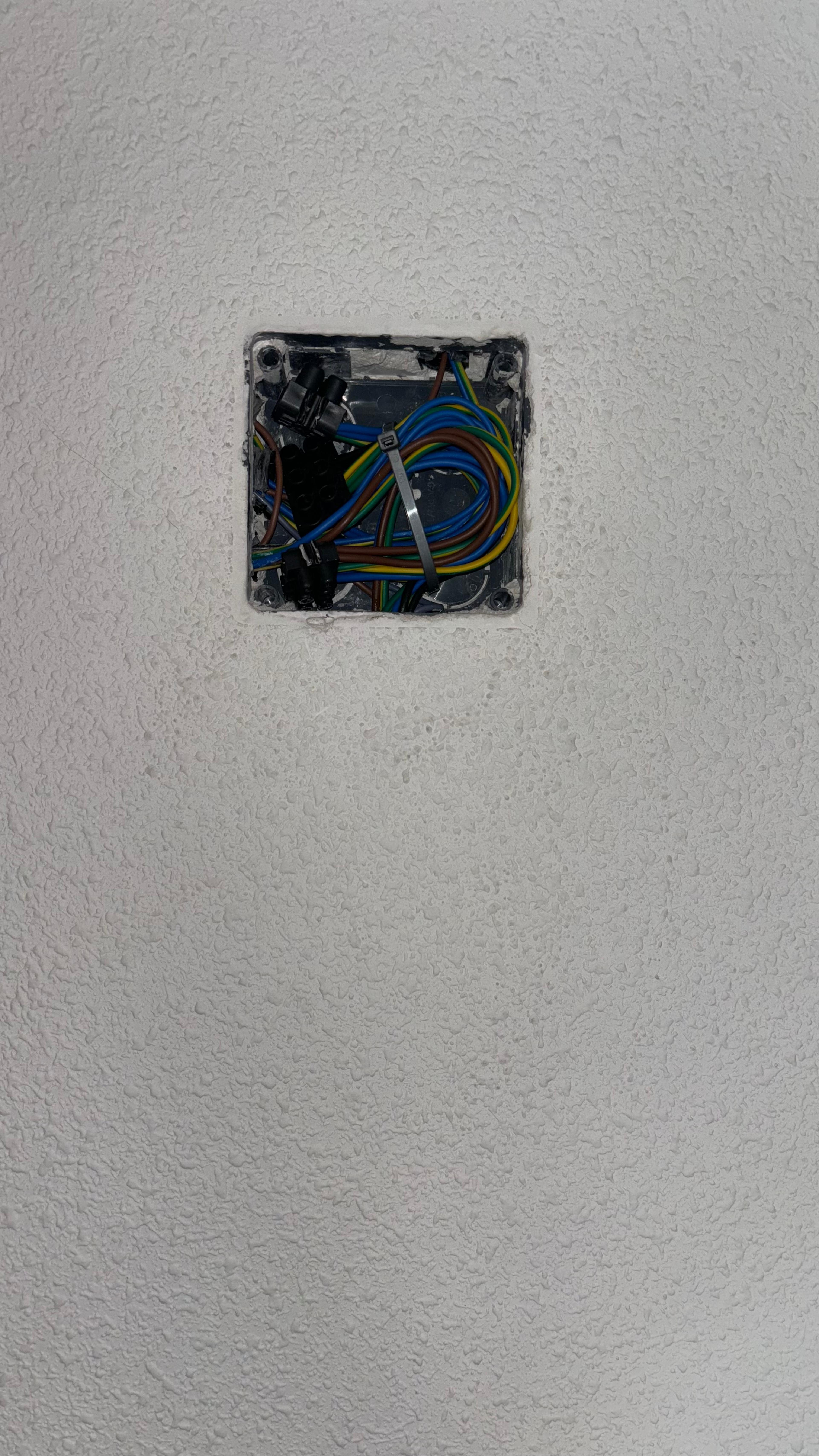 ec6be2d1-71d5-4313-942b-d855f83e9b32.jpeg