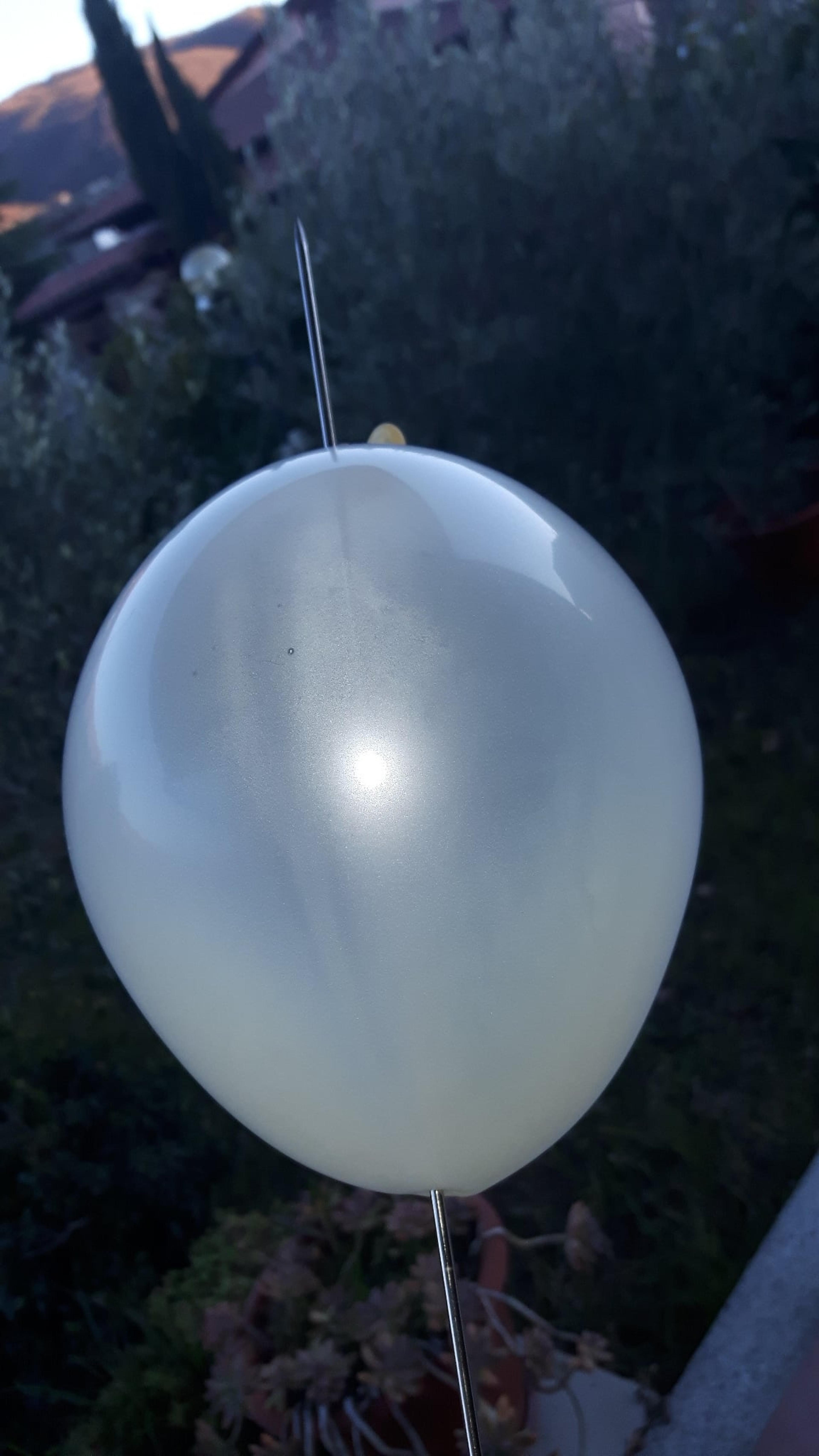 ec959f08-062f-4c94-85a9-12f5f73e8921.jpeg