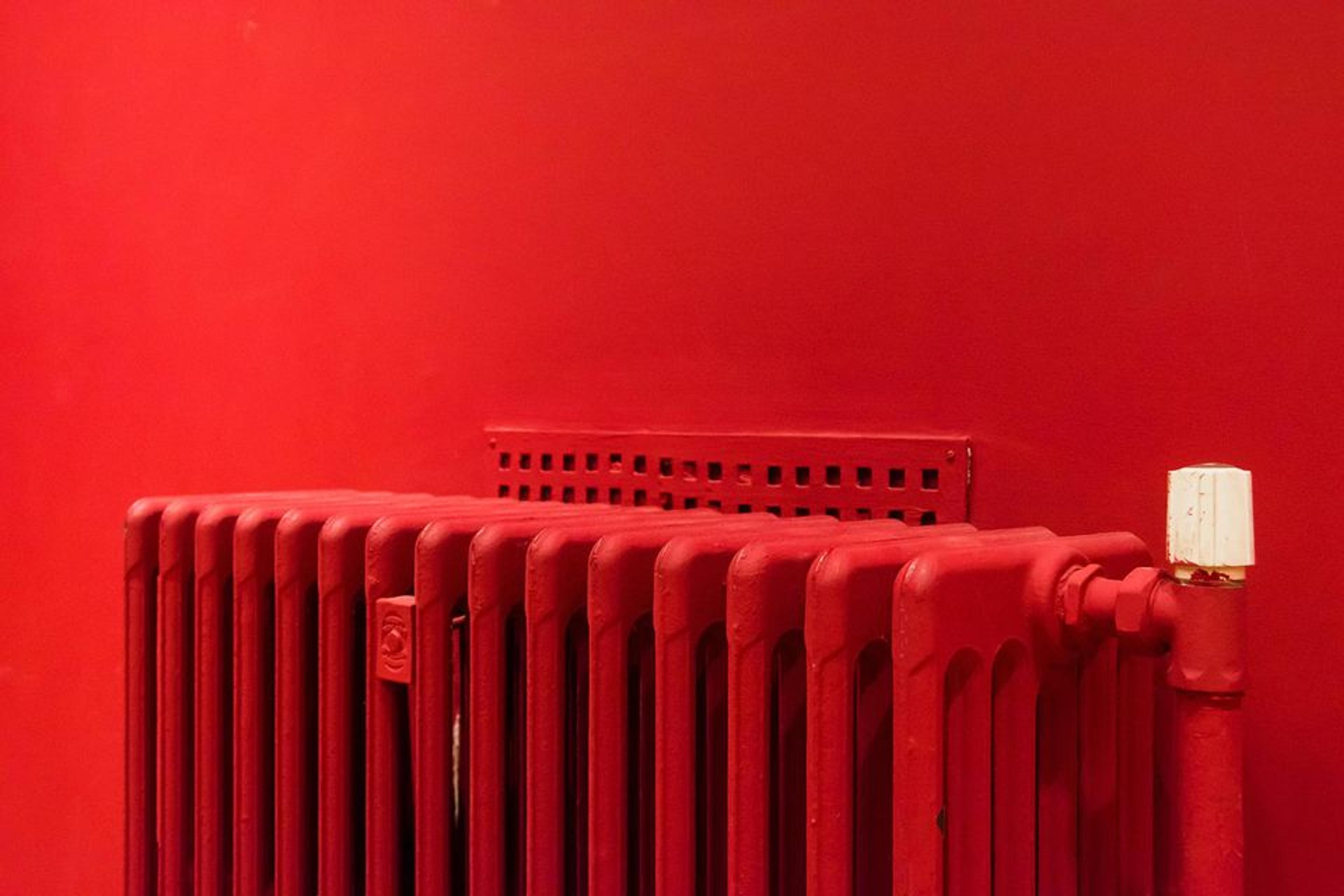 ed0d1785-3b34-498f-befb-fa47d9d62869.jpeg