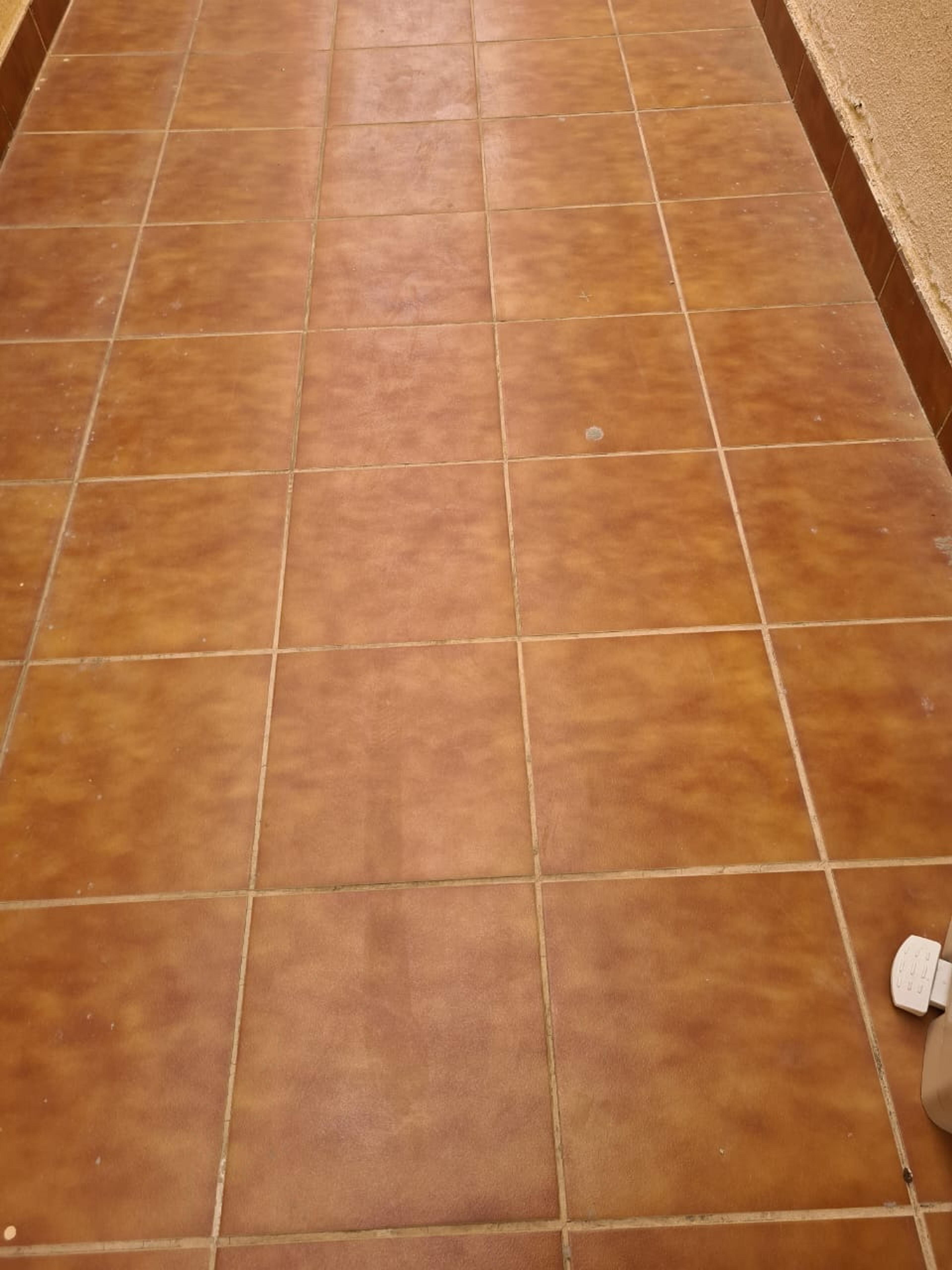 ed21977b-bd51-4155-bfcb-dd572c1dfec1.jpeg