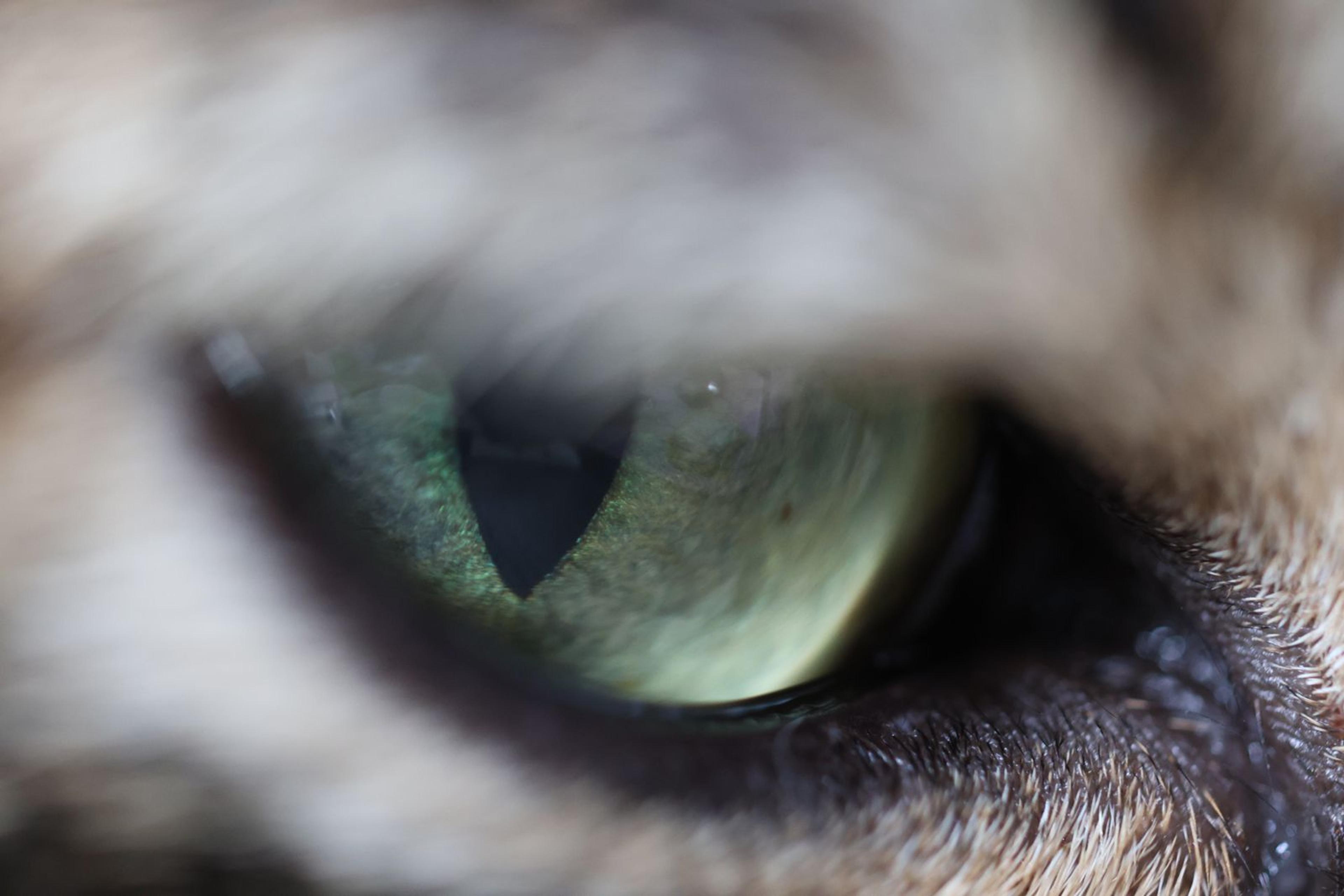 ed308814-0d1e-46c2-8564-303e38c50c4e.jpeg