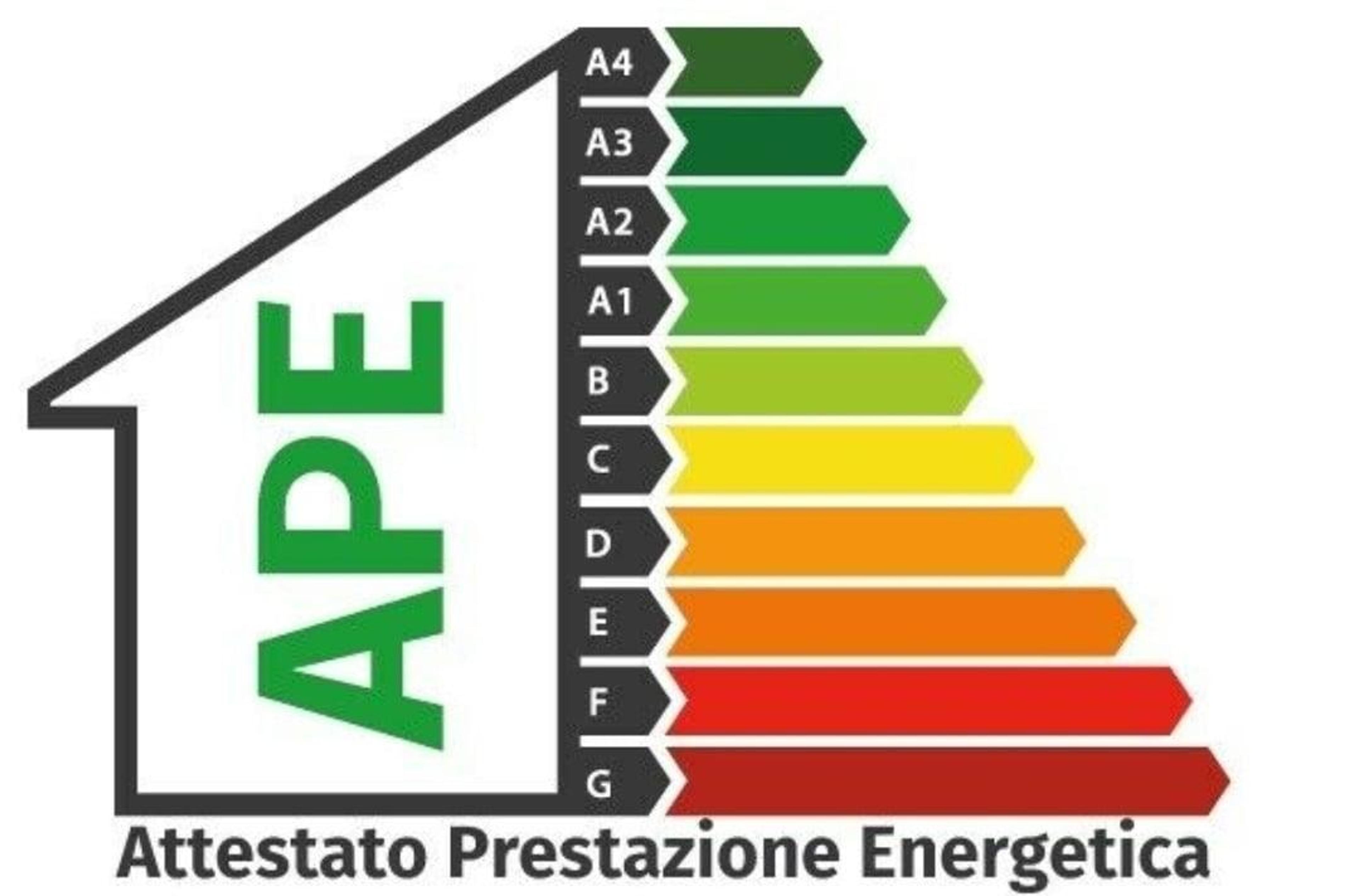 ee0cb473-ddeb-4955-ac6c-8c2cab2c3a50.jpeg