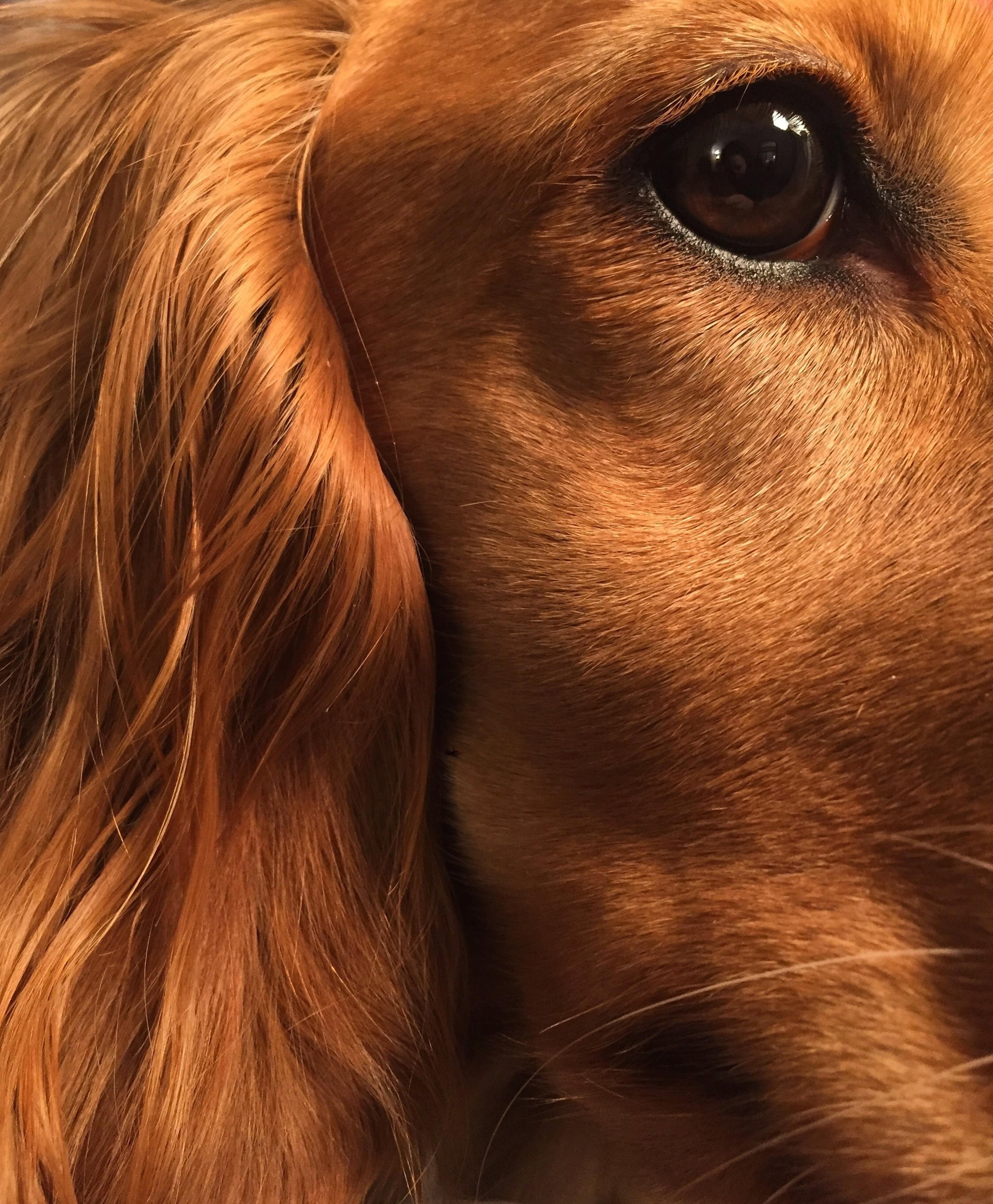 ee172364-ac73-4f0b-9027-5040ea7d5a78.jpeg