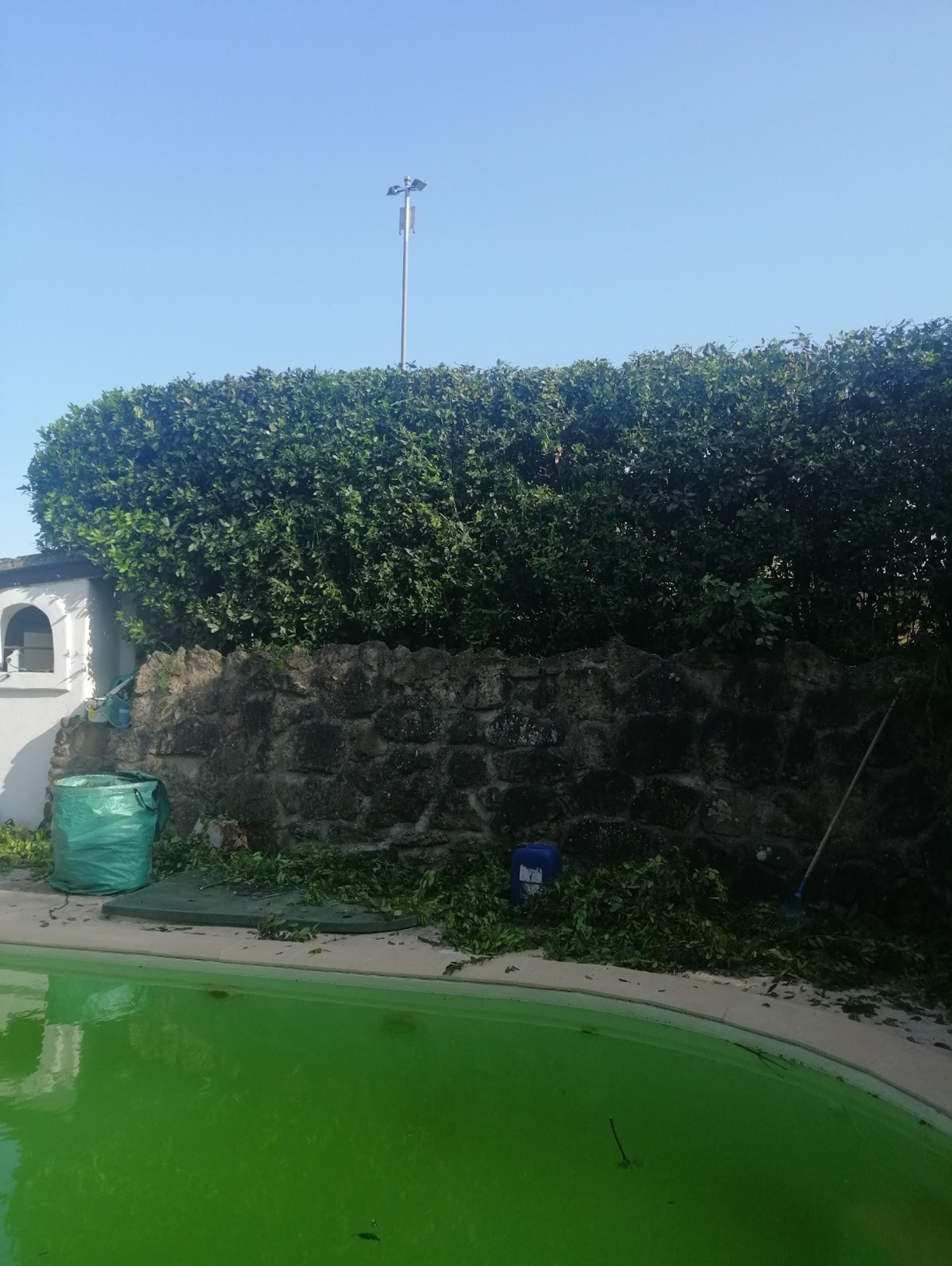 ee82aaf0-1ad3-4d6c-af6b-d2ef99feaa96.jpeg