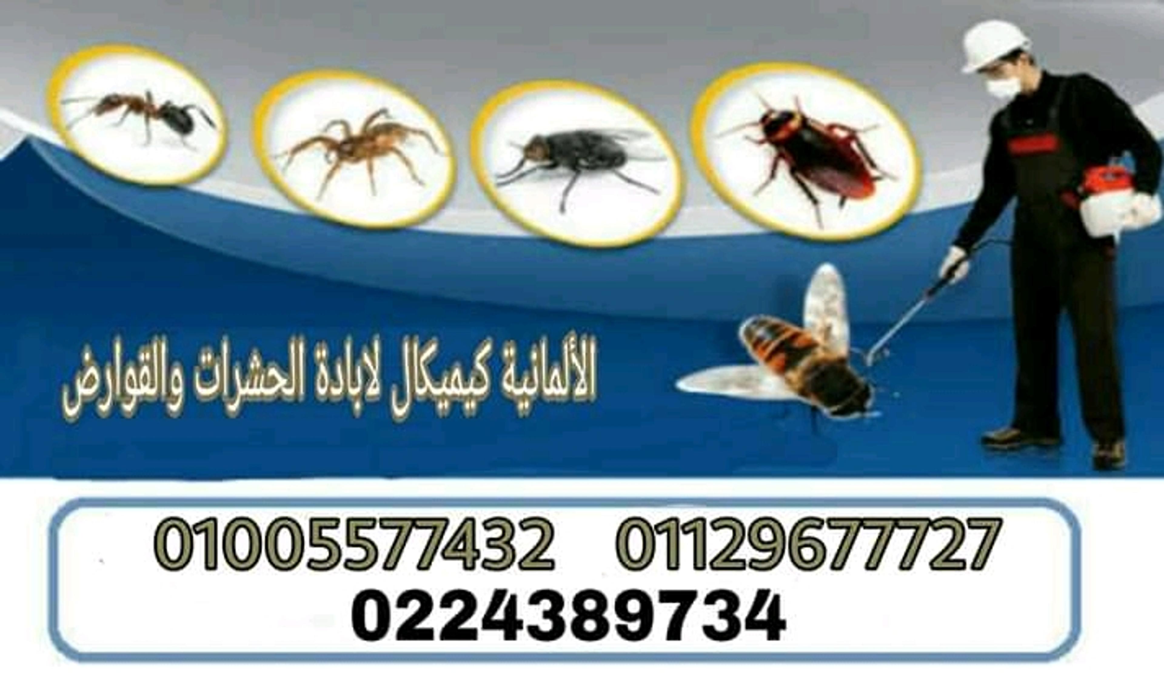 eeec020c-19cd-4ec9-95c8-74c3325ab2c4.jpeg