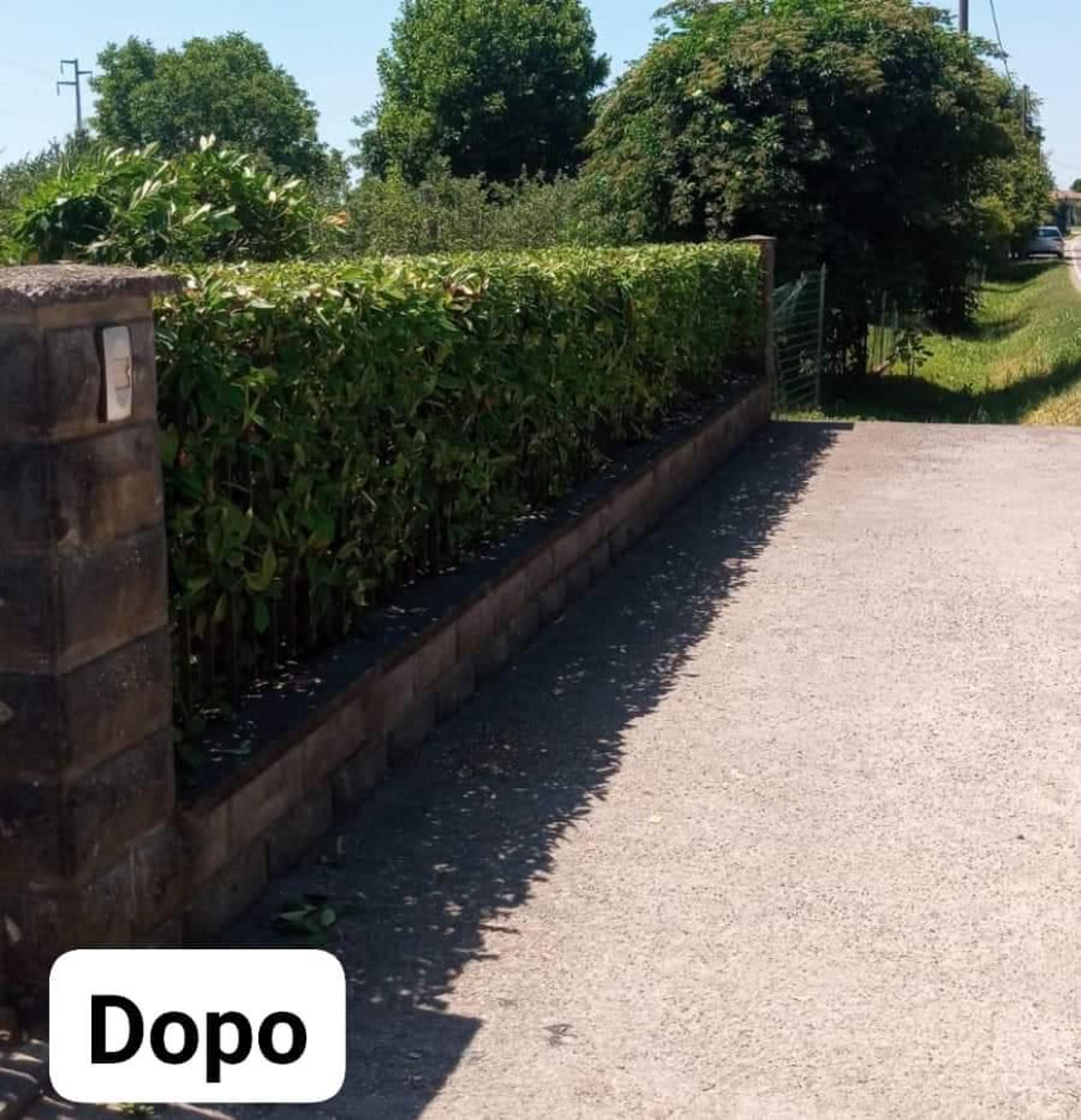 ef20b9e4-2831-4282-9563-de6014e7e1bf.jpeg