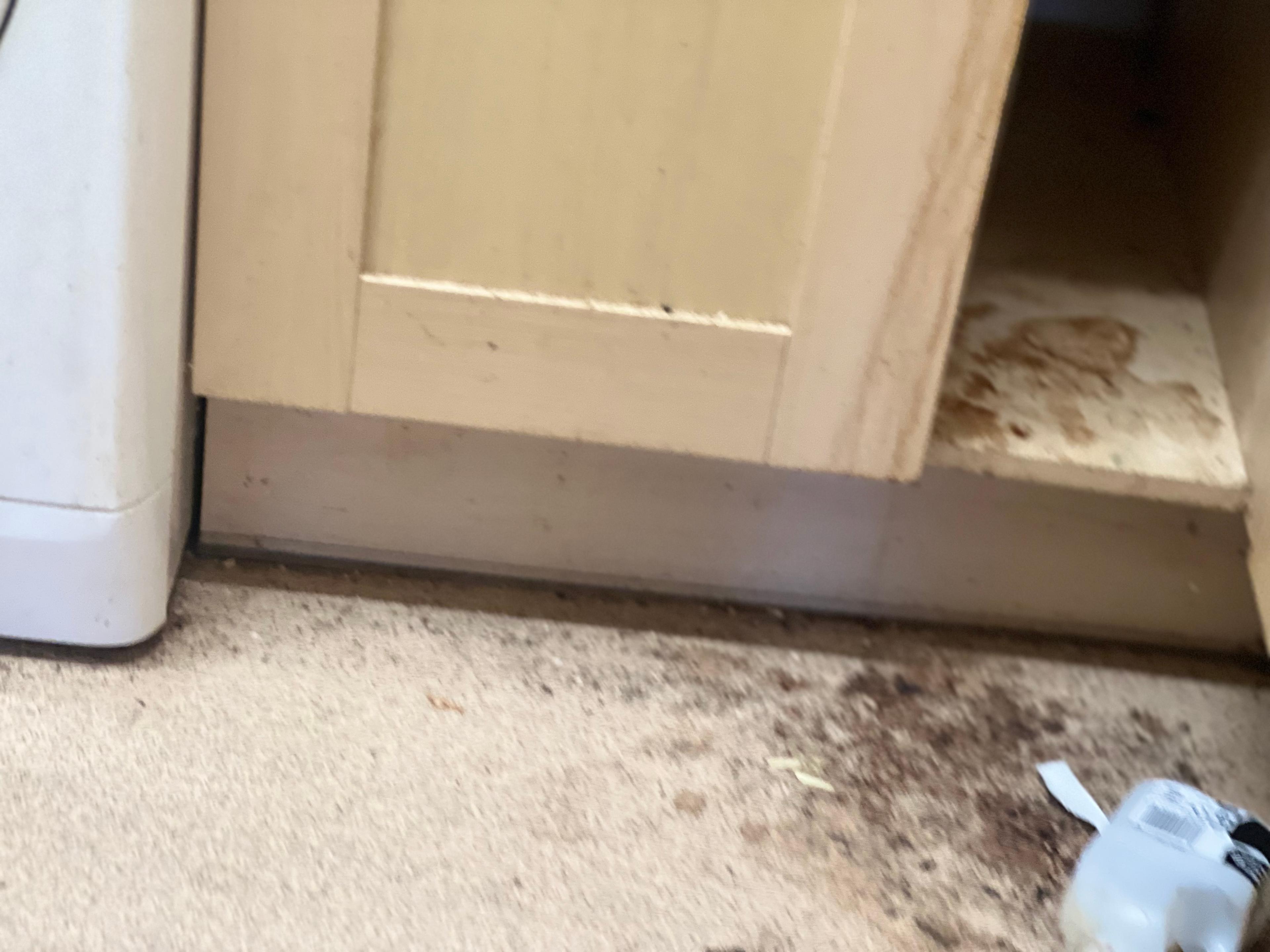 ef34a145-61c2-4df1-9728-245c6d648cc7.jpeg