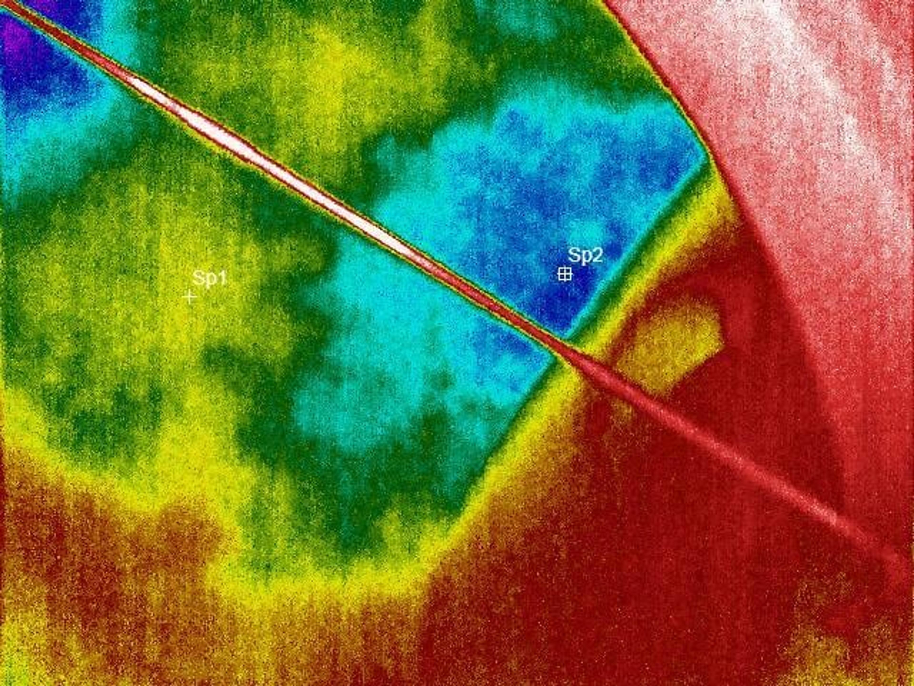 ef8a1e1d-e454-498a-87d2-0751b4fae287.jpg