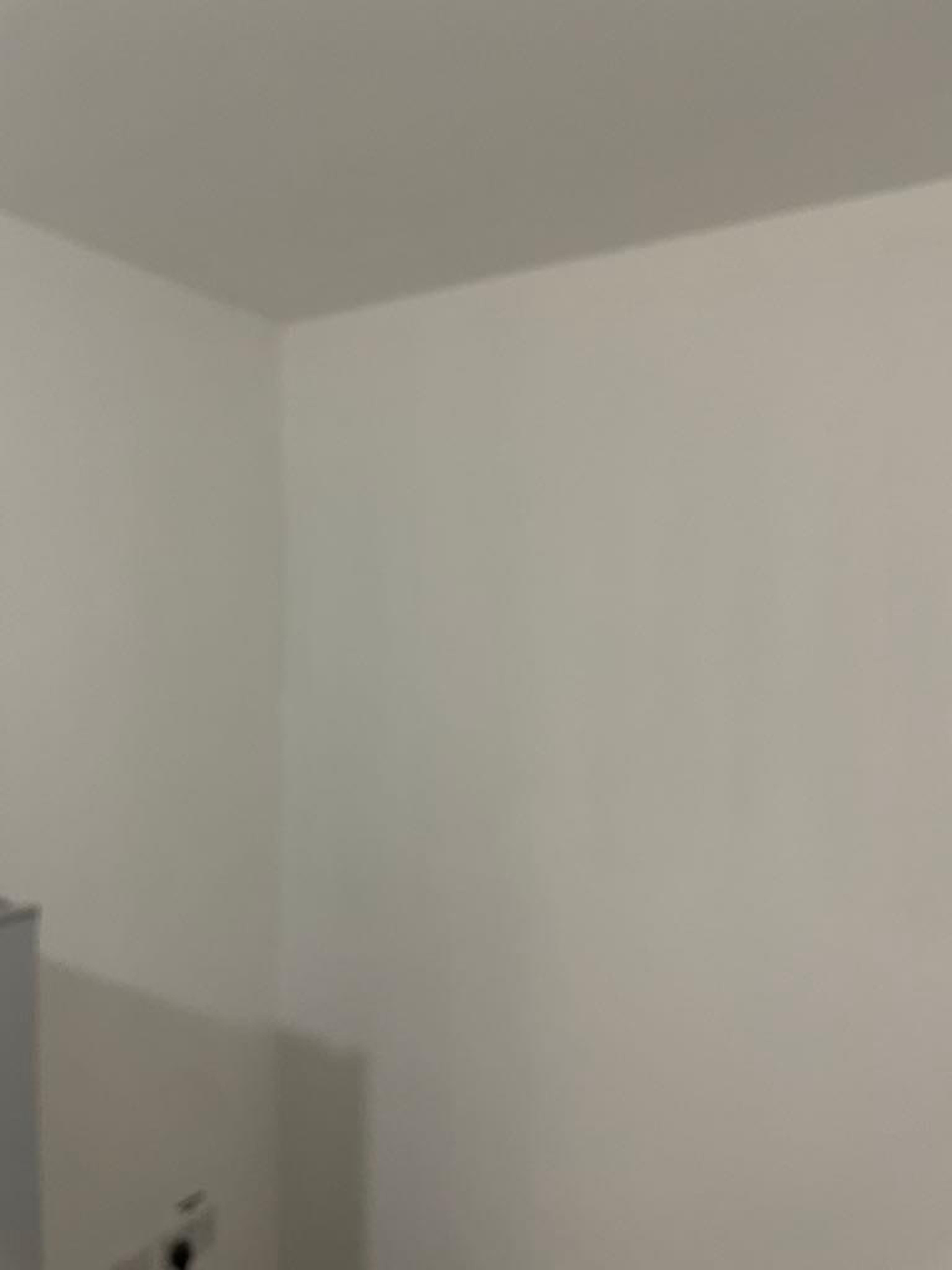 ef922d04-3965-42b6-86fd-2289e203e268.jpeg