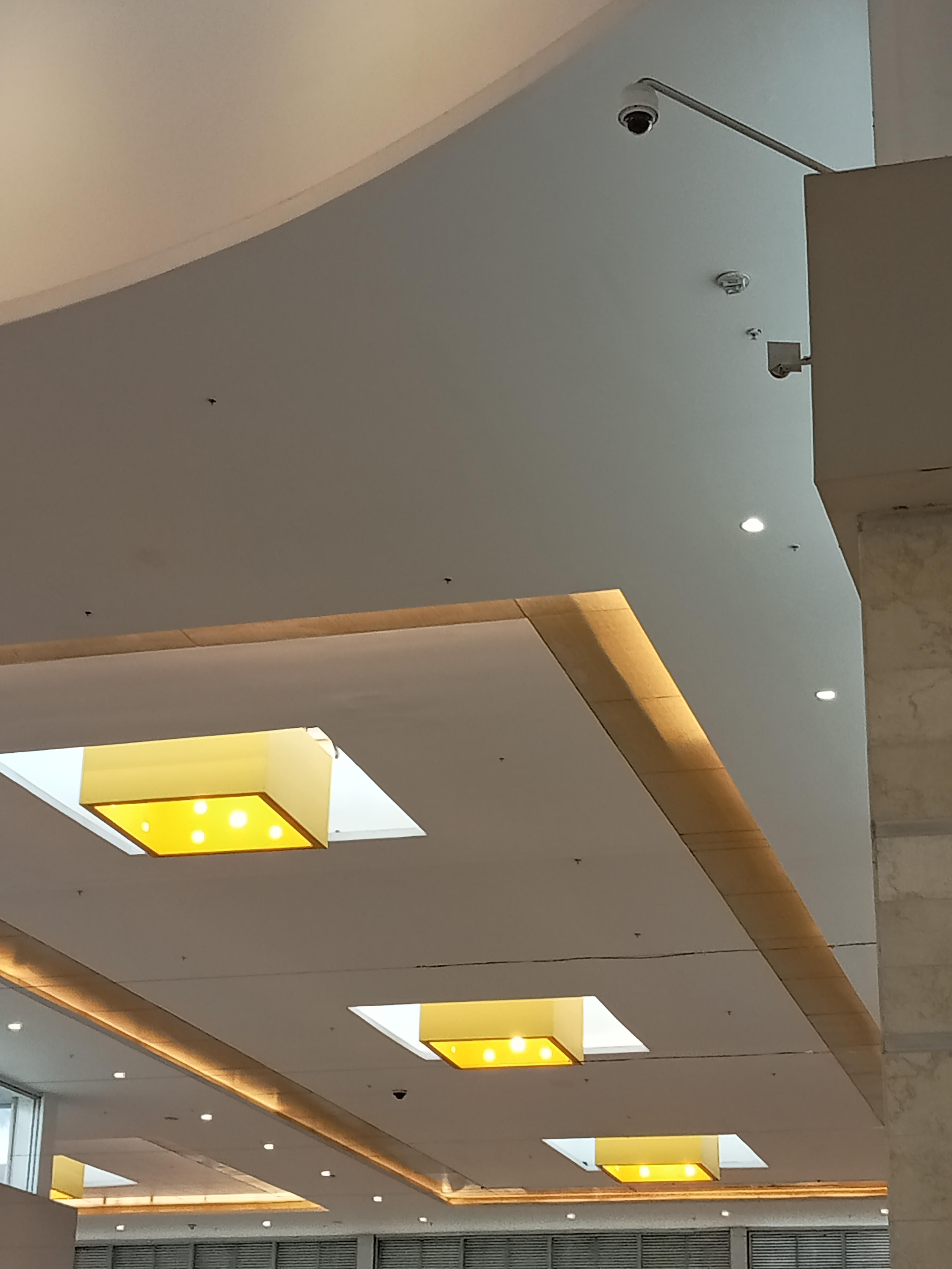 efdc9aee-1769-4148-84b0-255e2cb6d312.jpeg