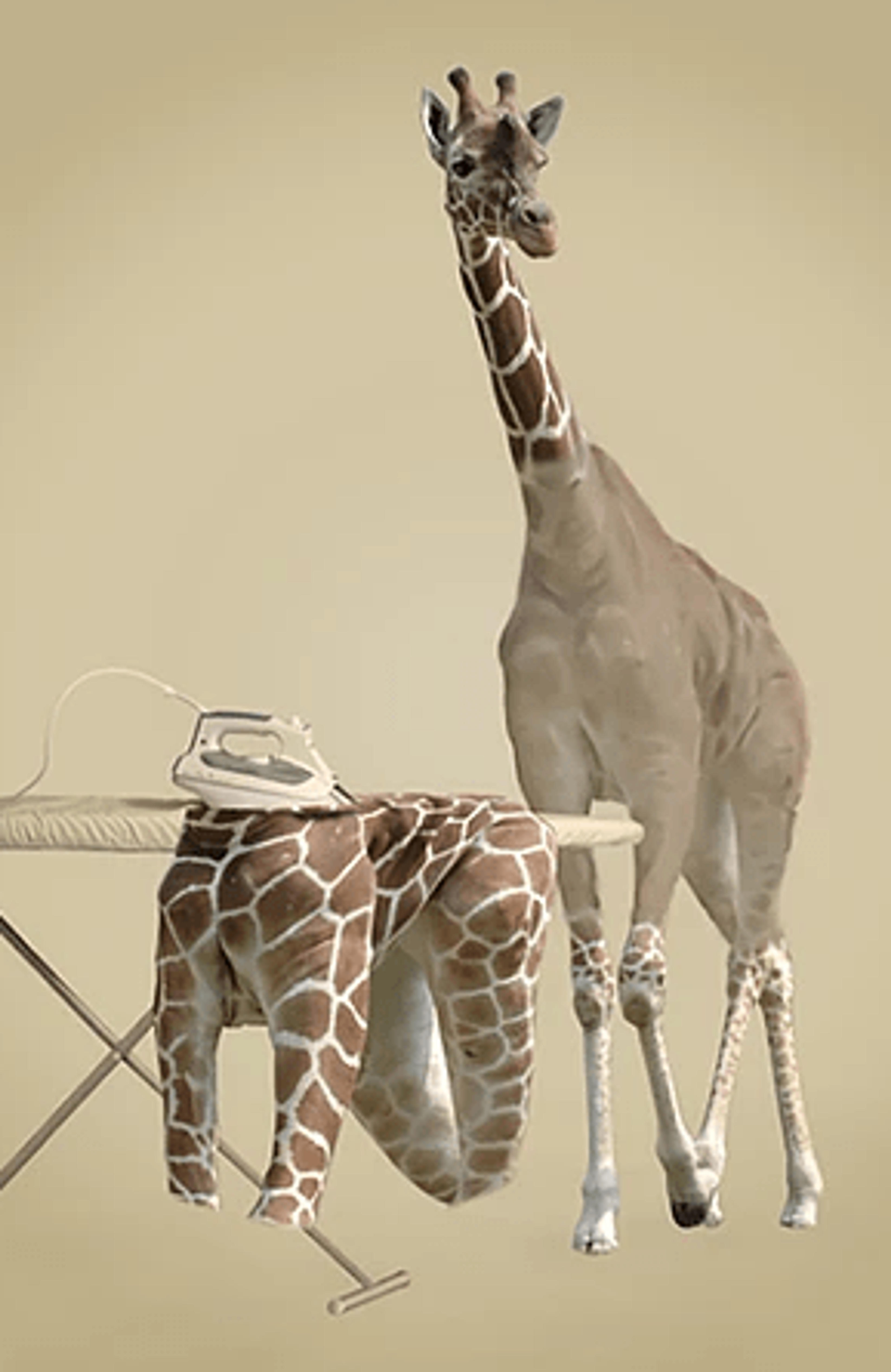 f008dbeb-6706-452f-9a38-c7e63fa6f09a.png
