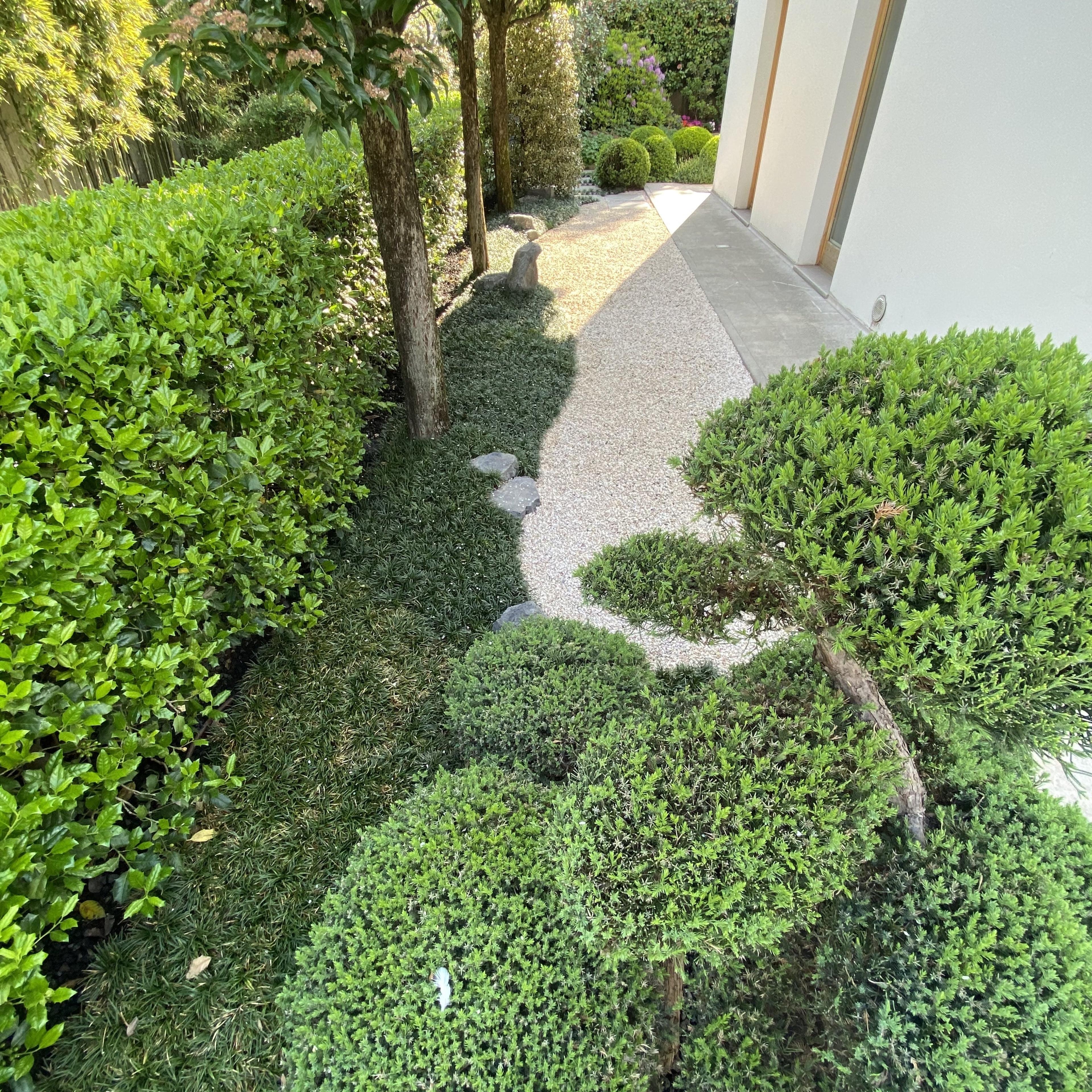 f073824e-51a9-4ebd-84d1-766d626aeb6b.jpeg