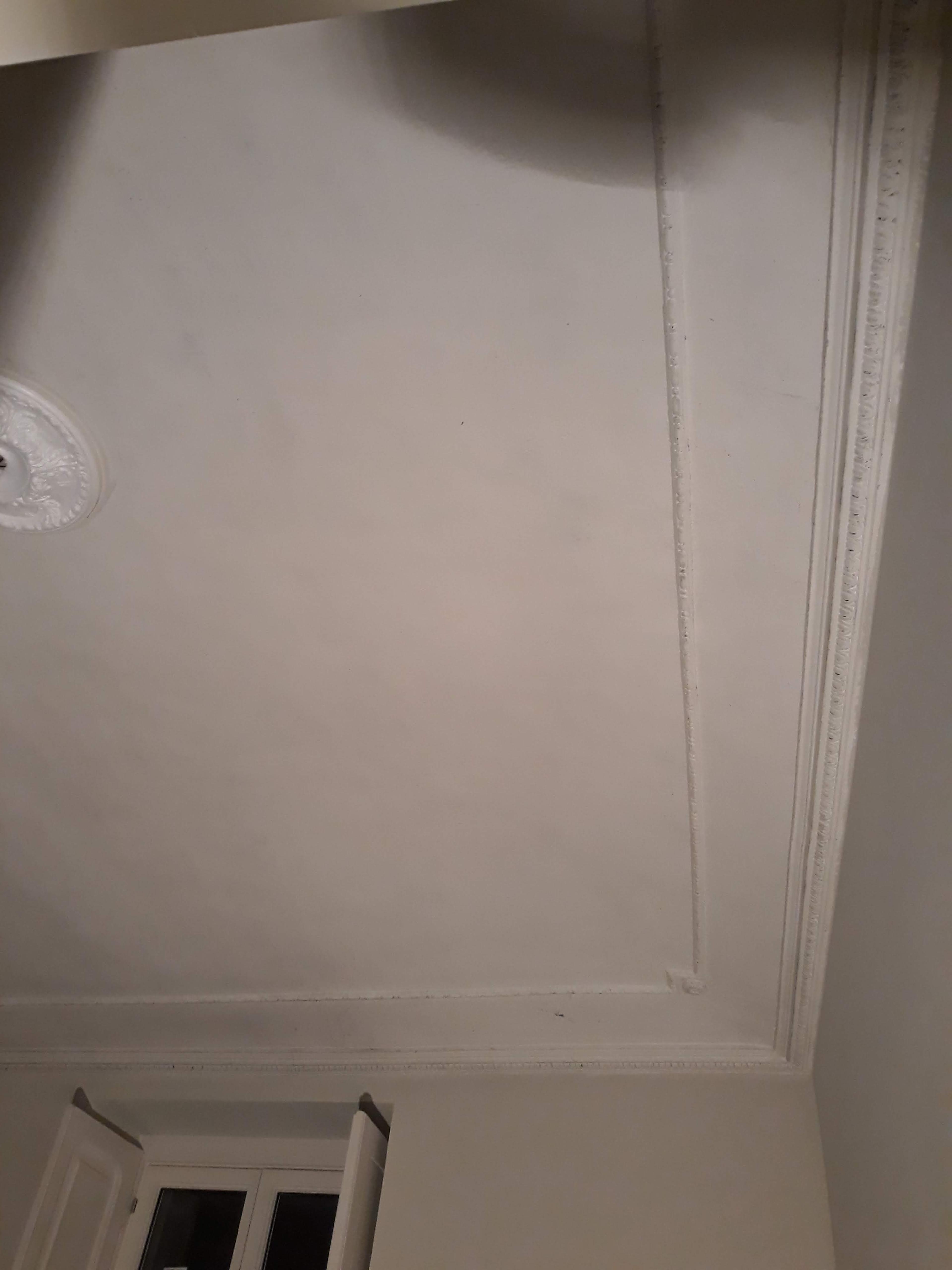 f124bd12-d5b3-4064-93cc-be8f5c545af1.jpeg