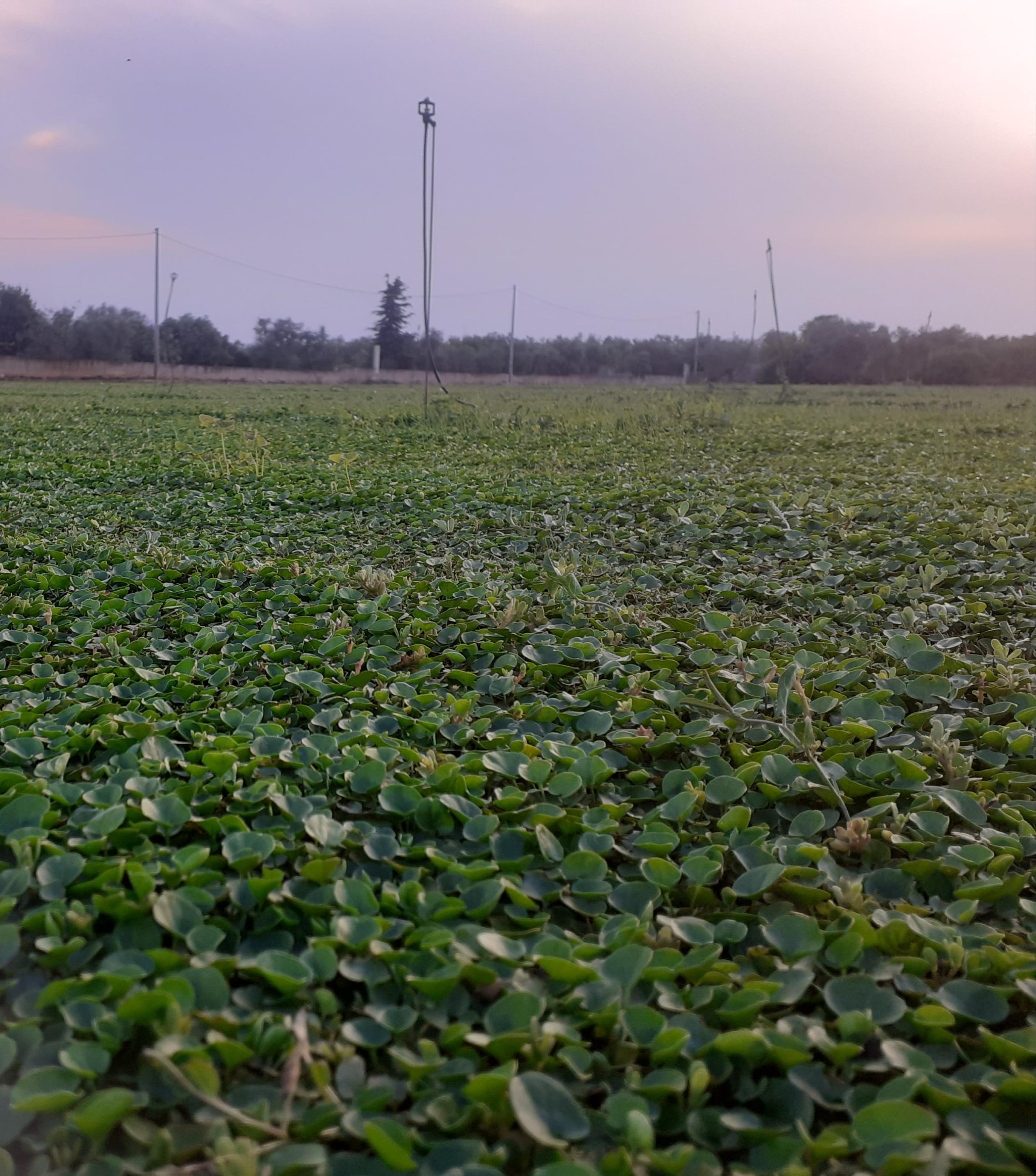 f1376c0e-d7b8-4a5d-b8a4-f2bc0245c285.jpeg