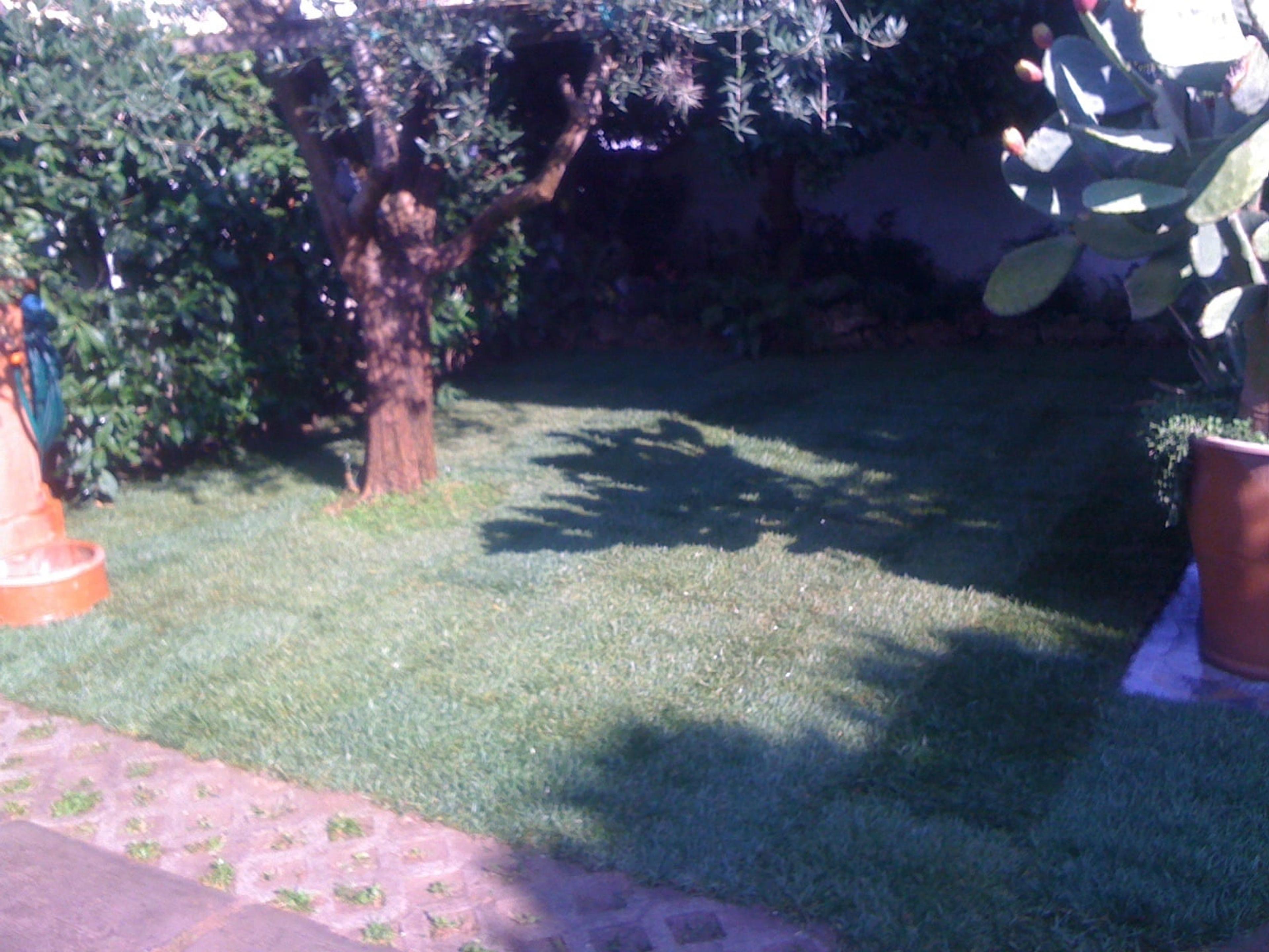 f14949ae-c07e-4abb-bd5b-cf8bb8968701.jpeg