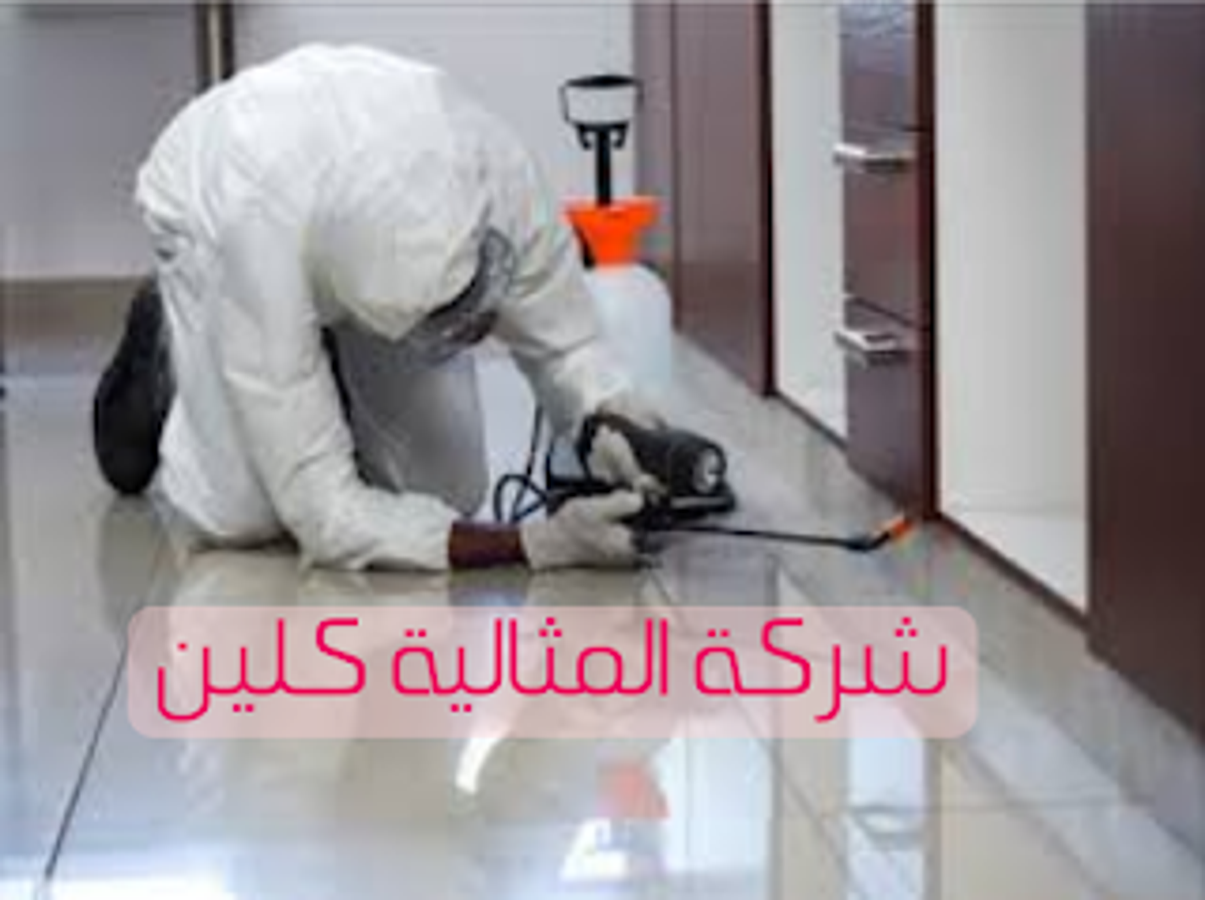 f17c8ec9-5932-4273-b8b3-4776a525b7ae.png