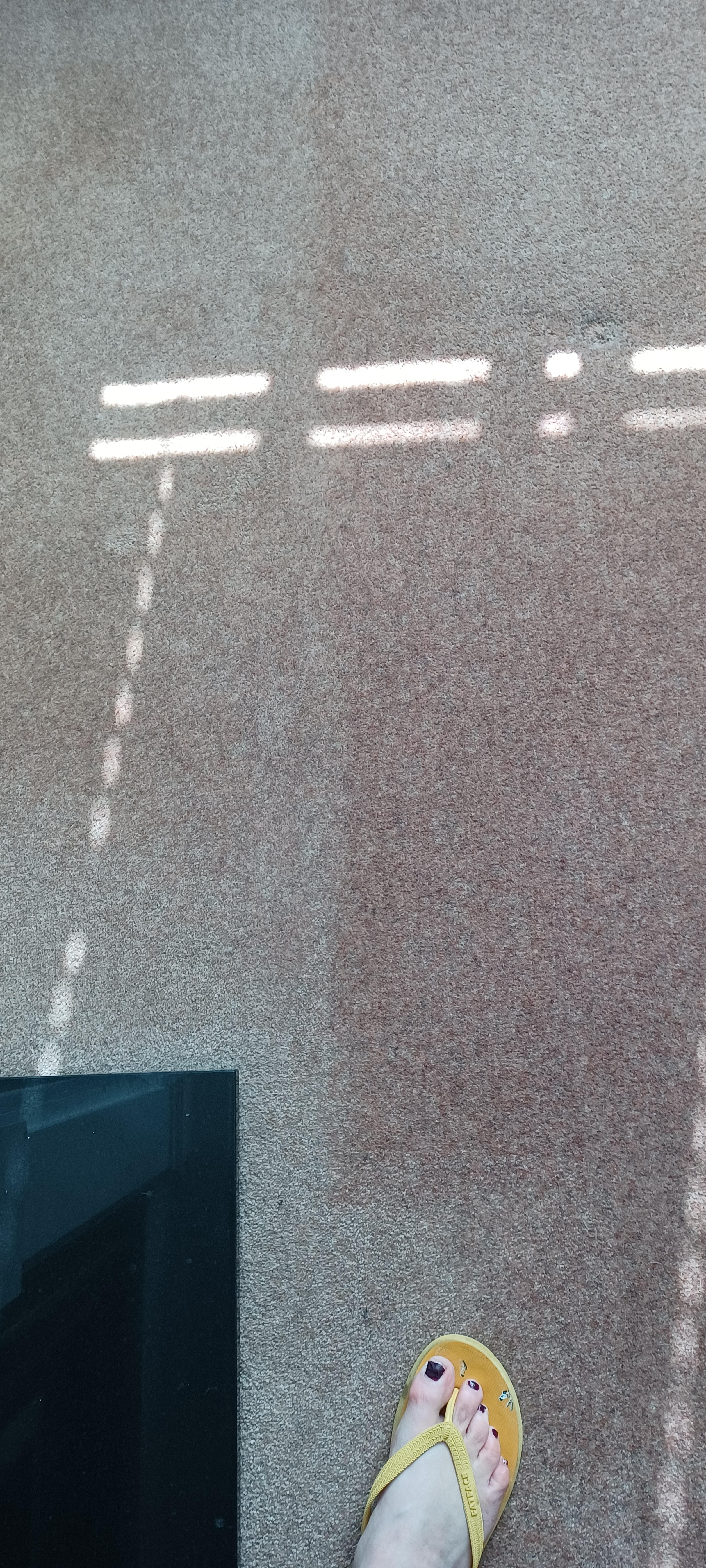 f17de7df-bba9-4dd9-b16e-c2e1f5310763.jpeg