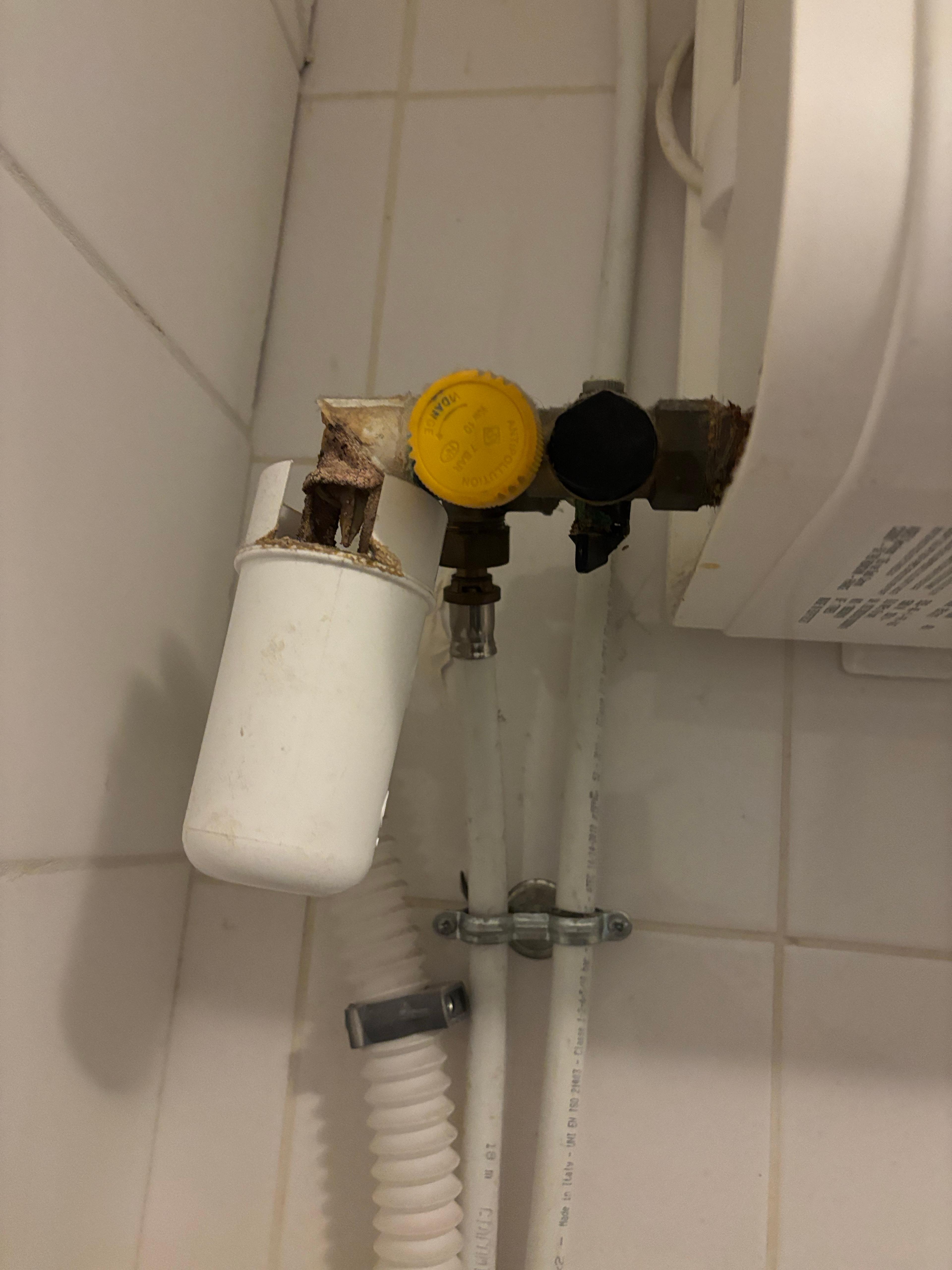 f28ce757-6f95-445d-8099-b3c869f80cc9.jpeg