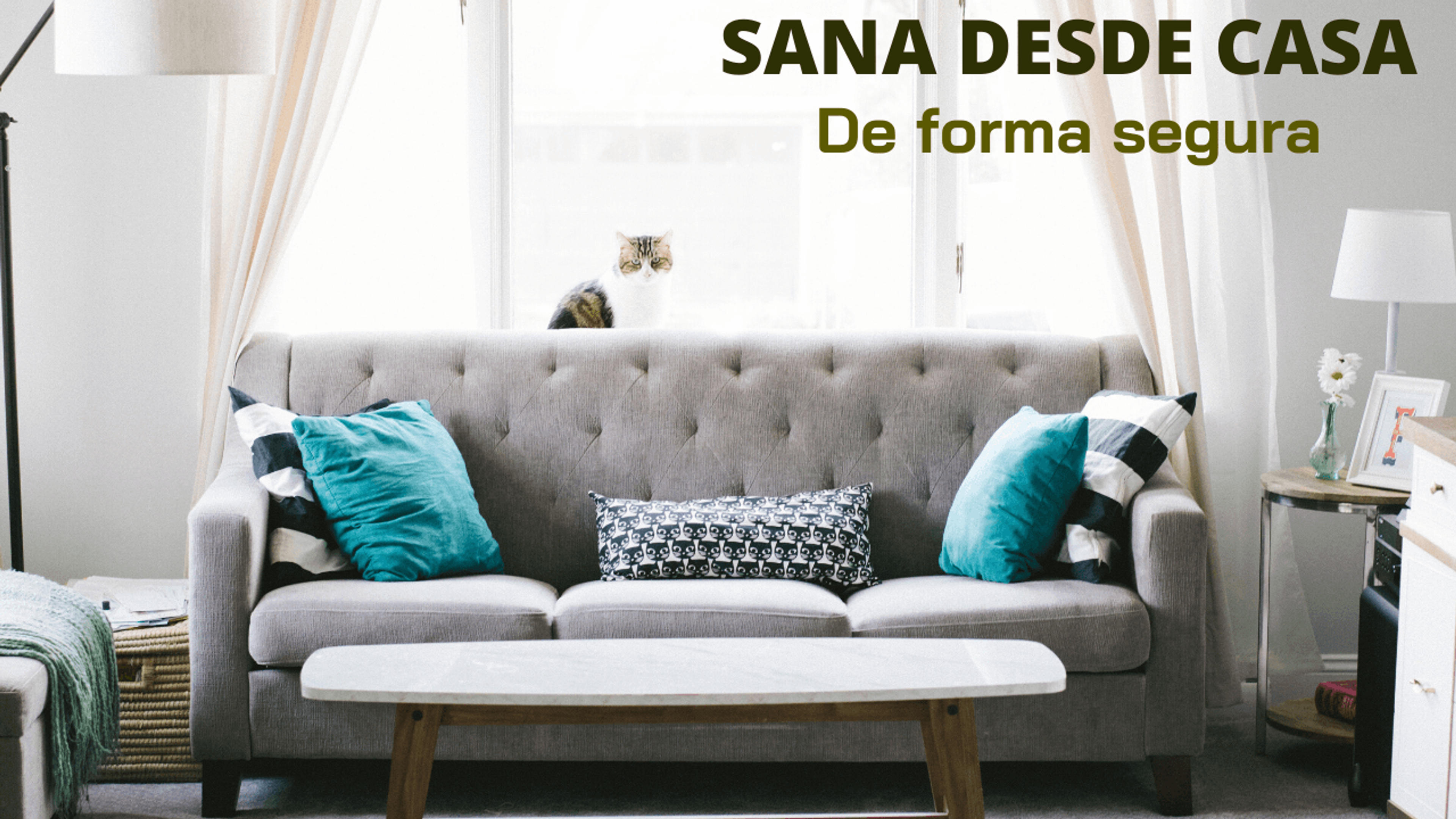 f34488fb-255f-4553-88f4-23af022bdbe7.png
