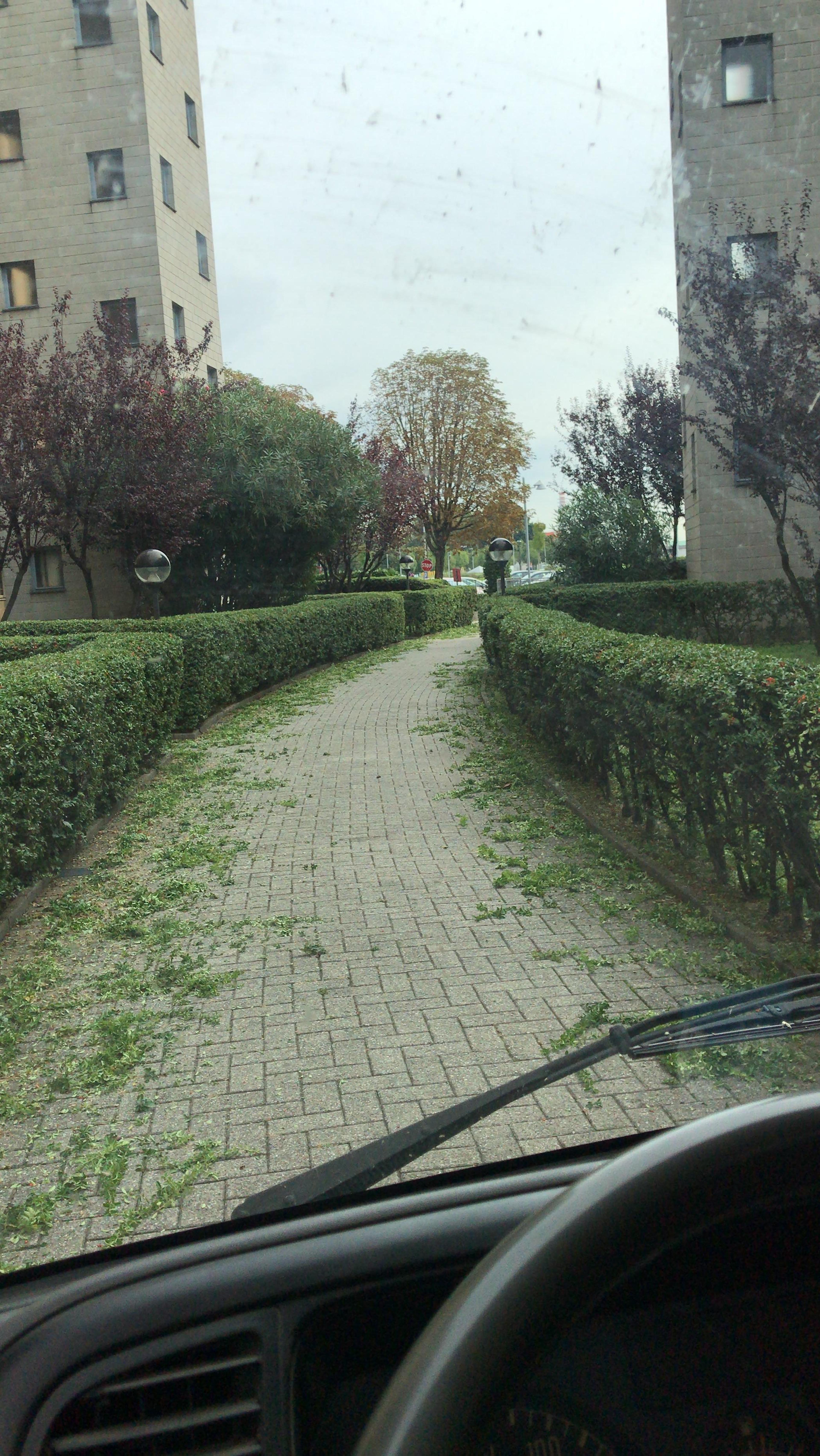 f42ff55a-74cc-466b-99ed-c3d30ac5254e.jpeg