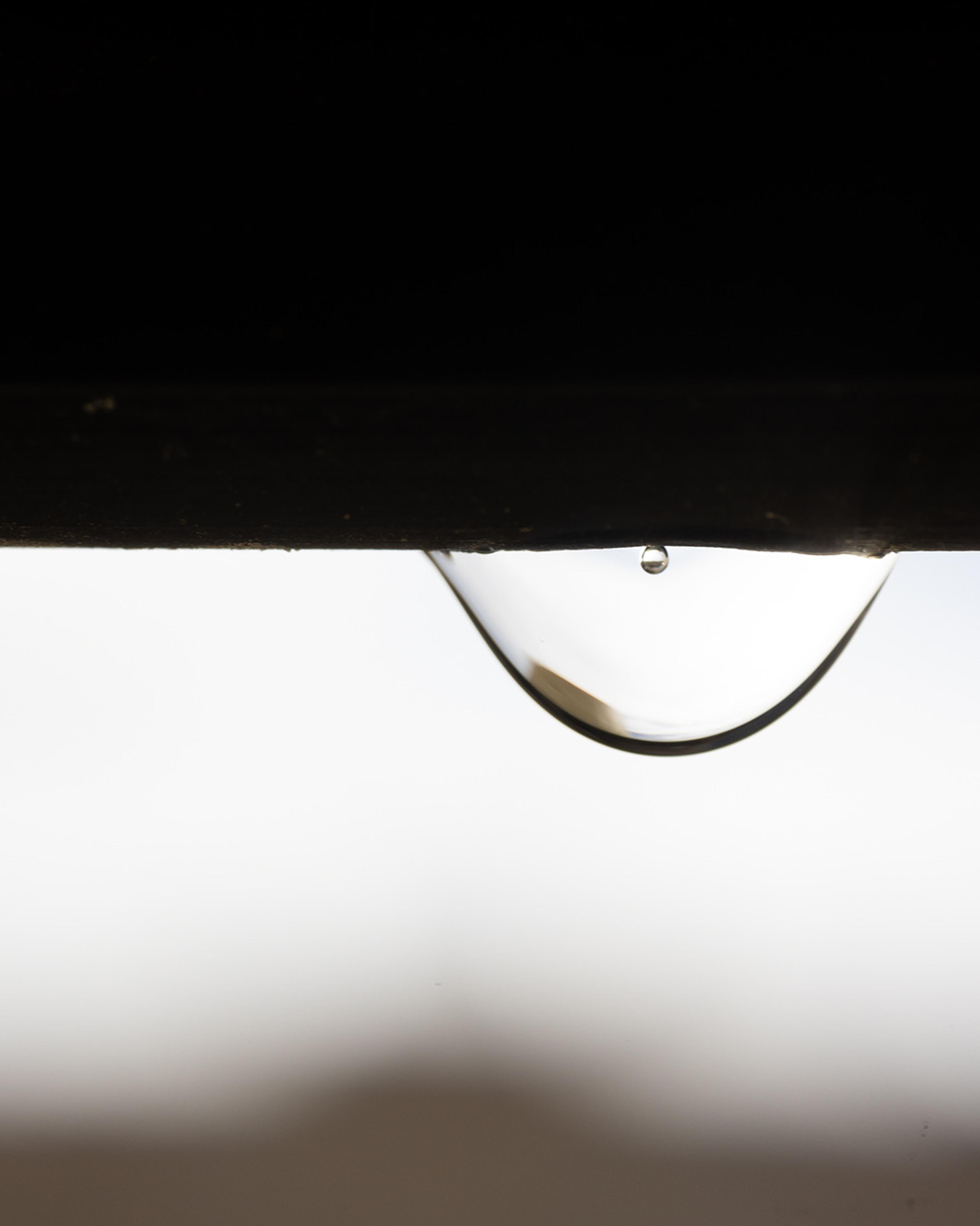 f4951a8d-3e24-452e-81e7-e081e82cd184.jpeg