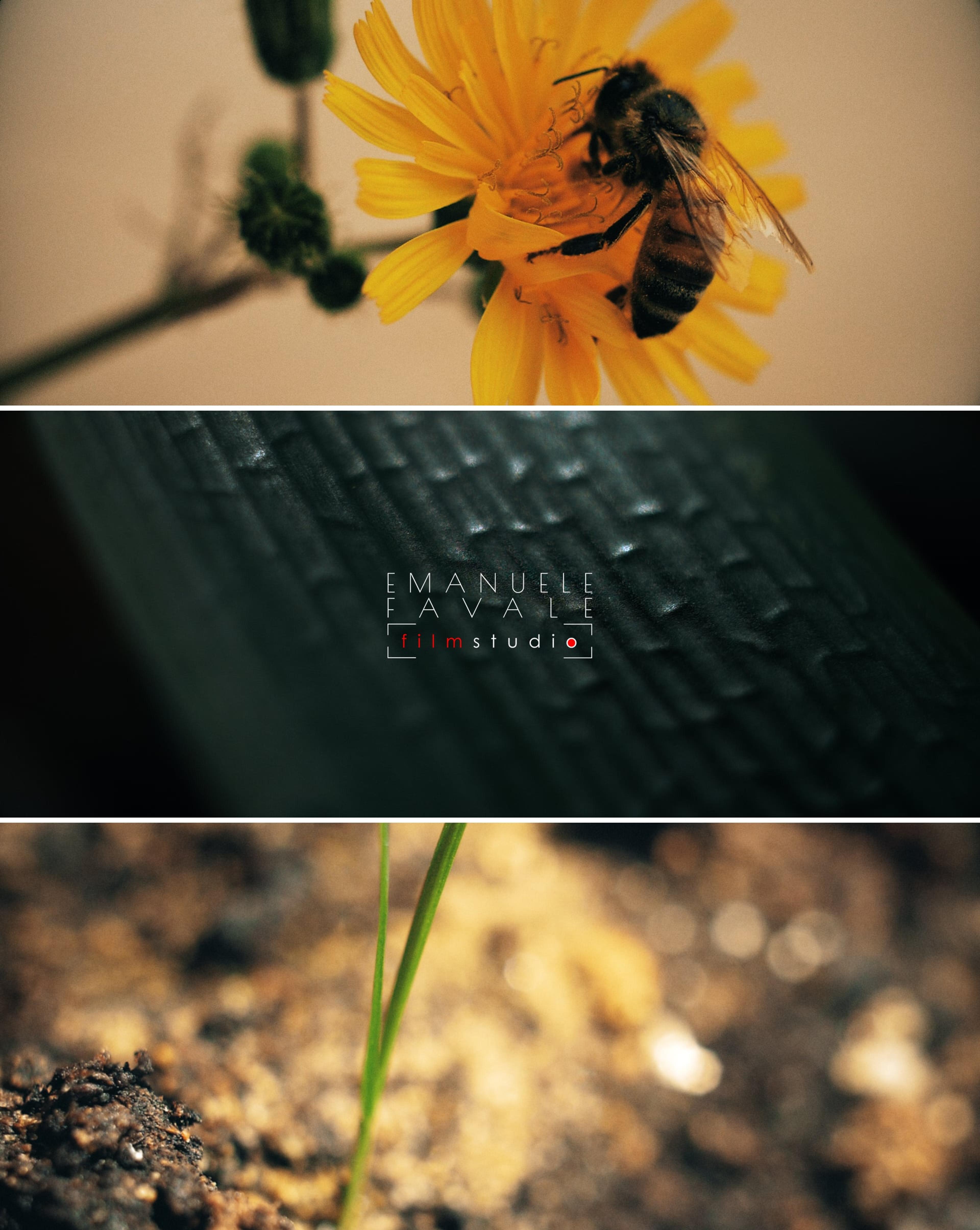 f4e25552-77b1-45d3-b0b6-6e2562b98b2a.jpeg