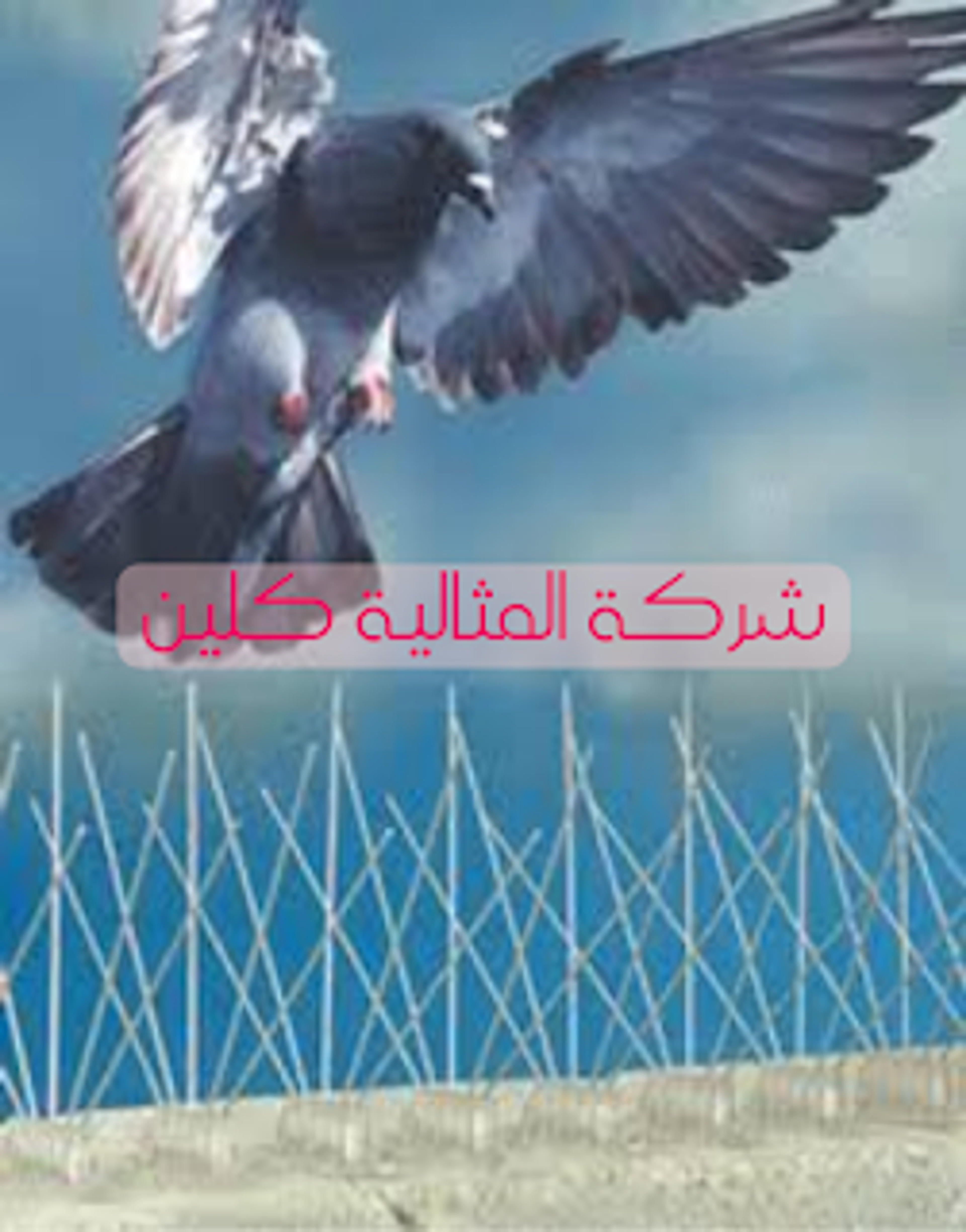 f5c3baff-f84a-4cab-b4af-ccbfcd8cc057.png