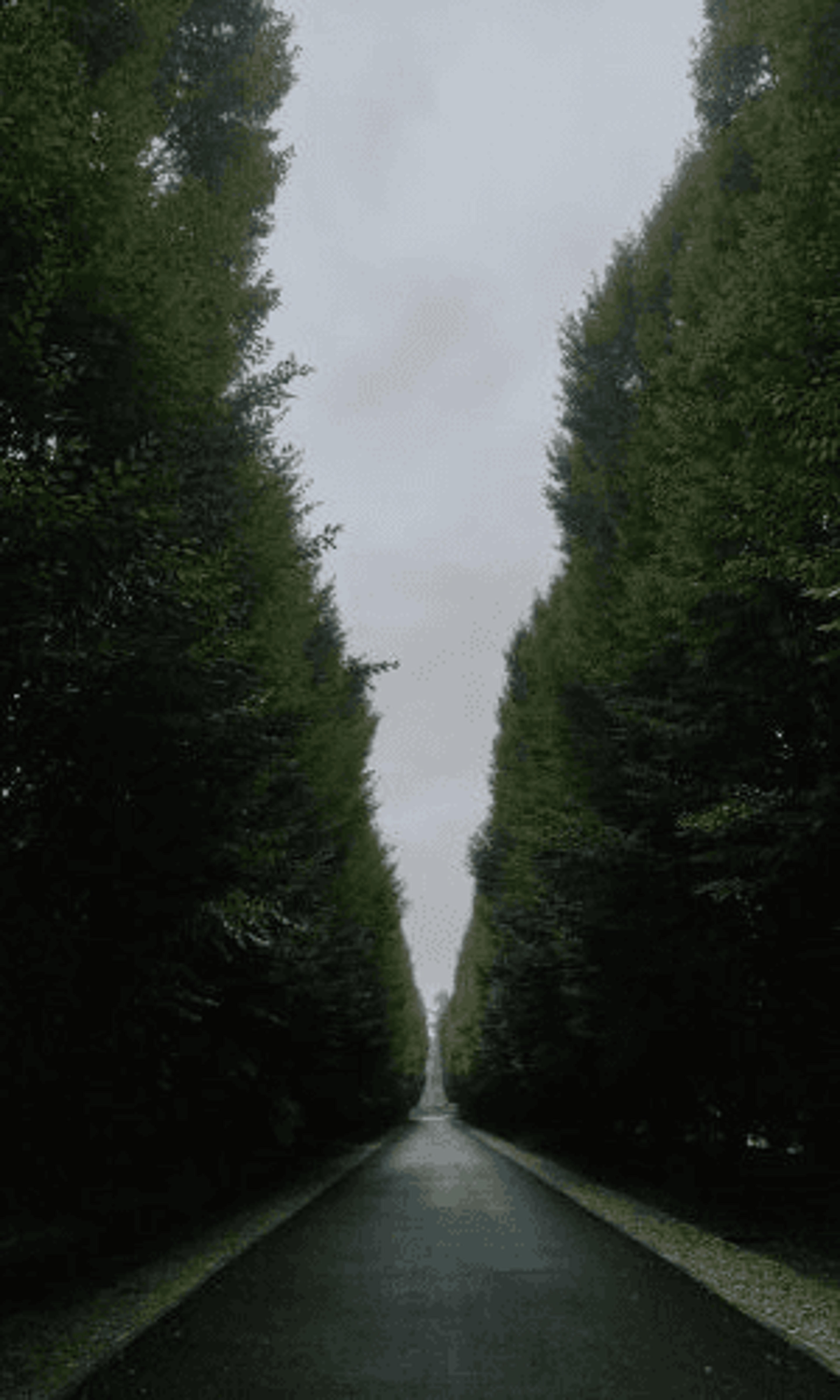 f6784dd1-741a-49ce-8885-061b0a4aa244.png
