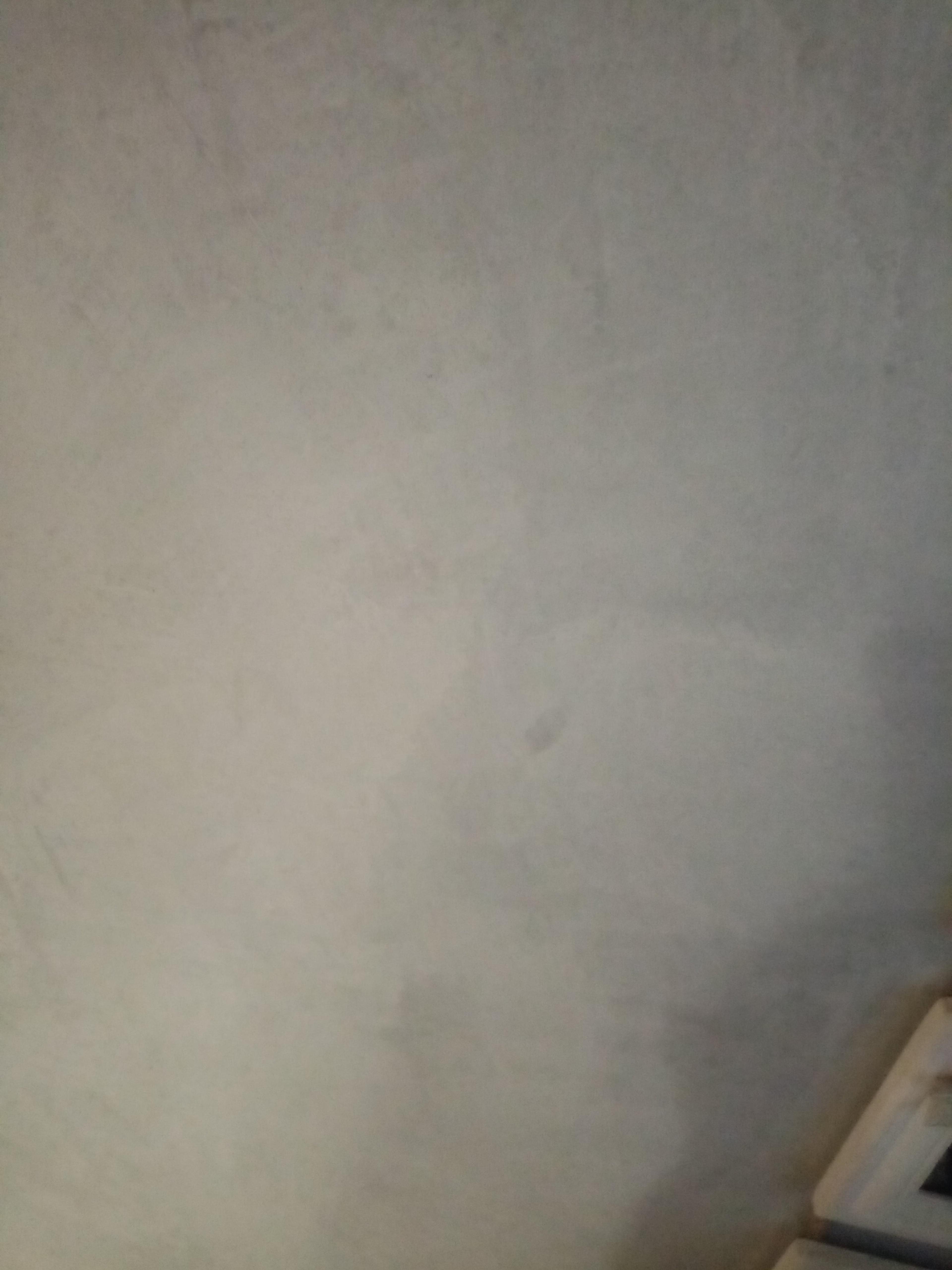 f6c6b417-55ef-452c-bfb1-5923f2a11a8d.jpeg