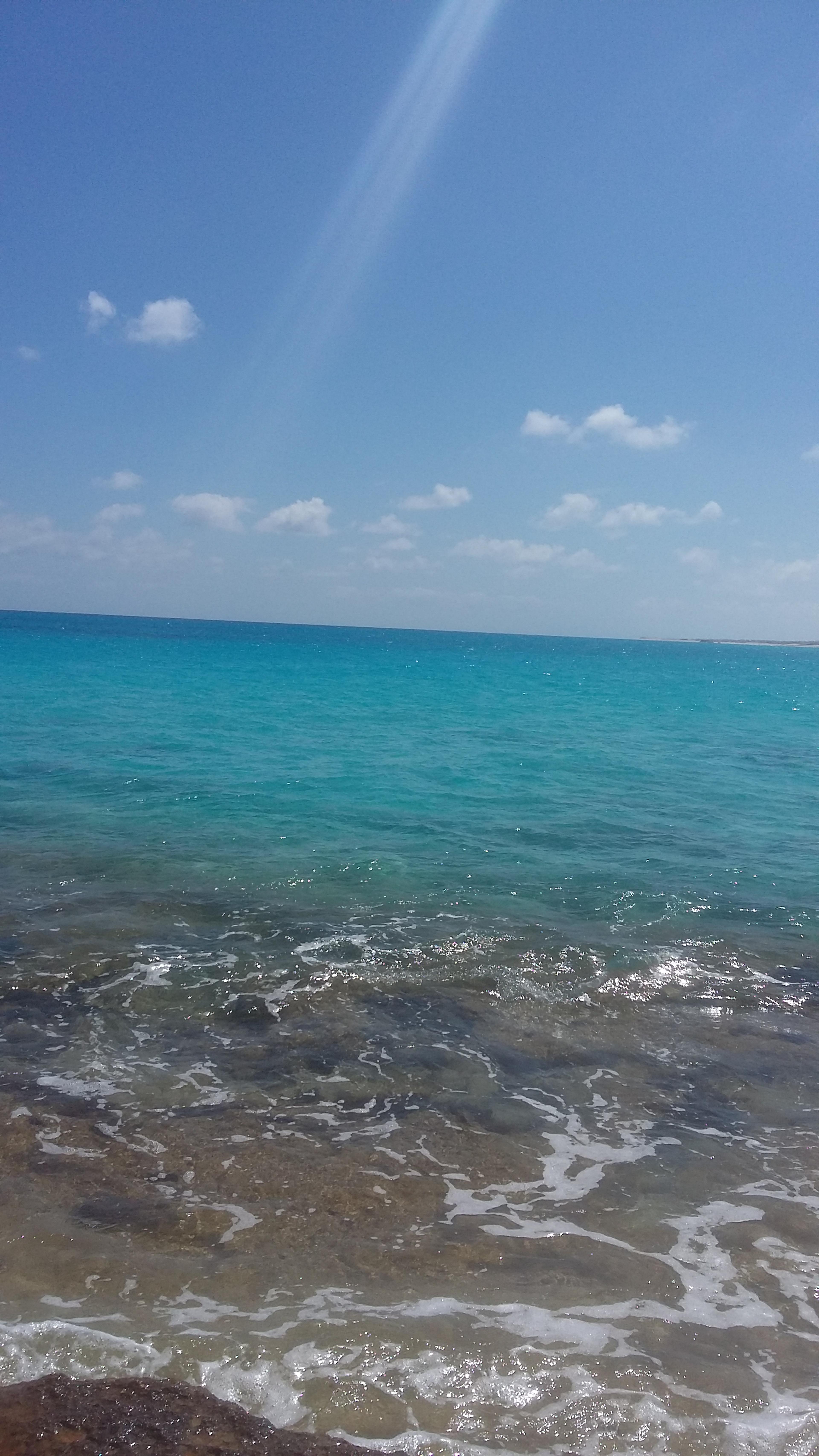 f7150712-646c-4cee-b85d-7c281810bd65.jpeg