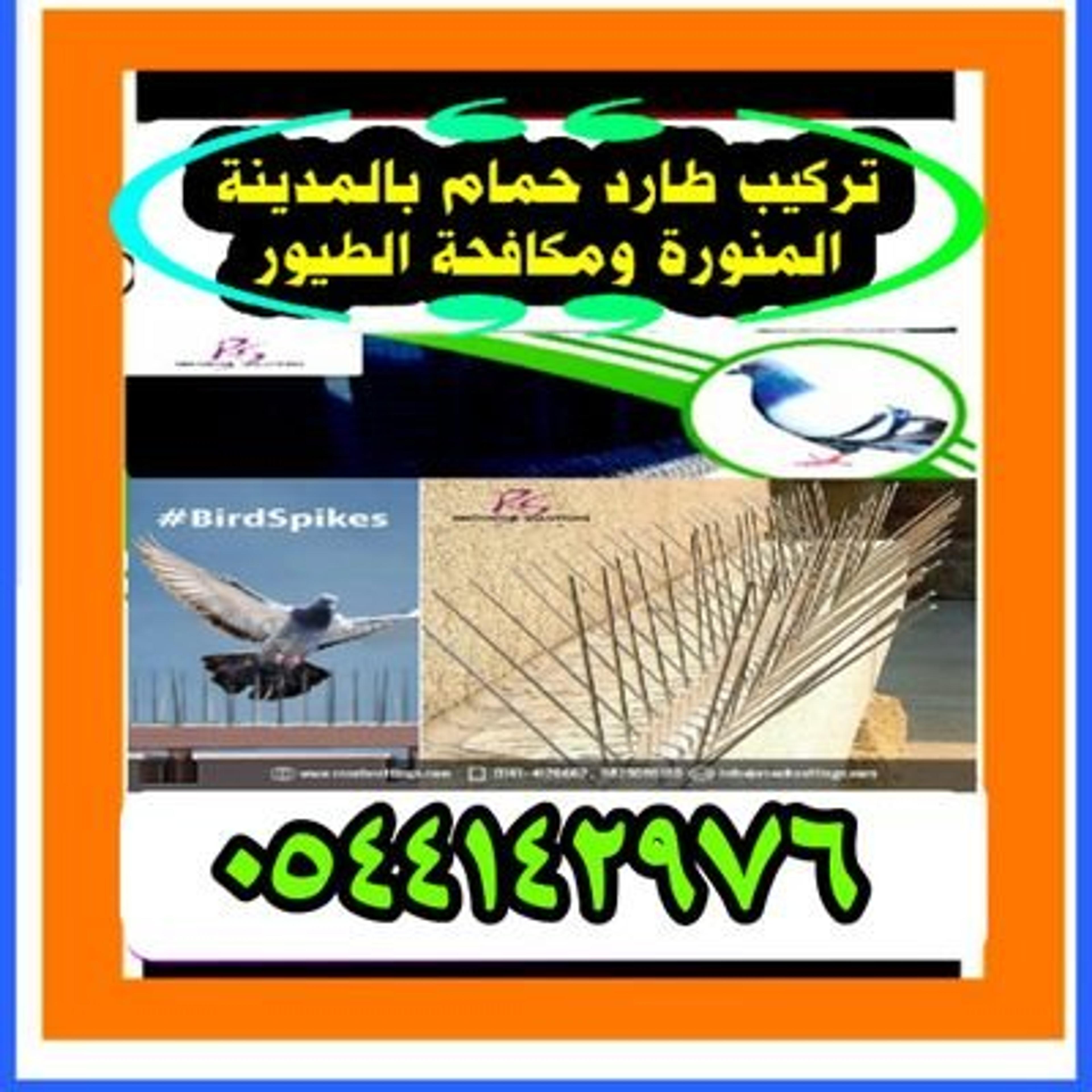 f77efd61-e03b-4d65-b5ba-fb7ce765721d.jpeg