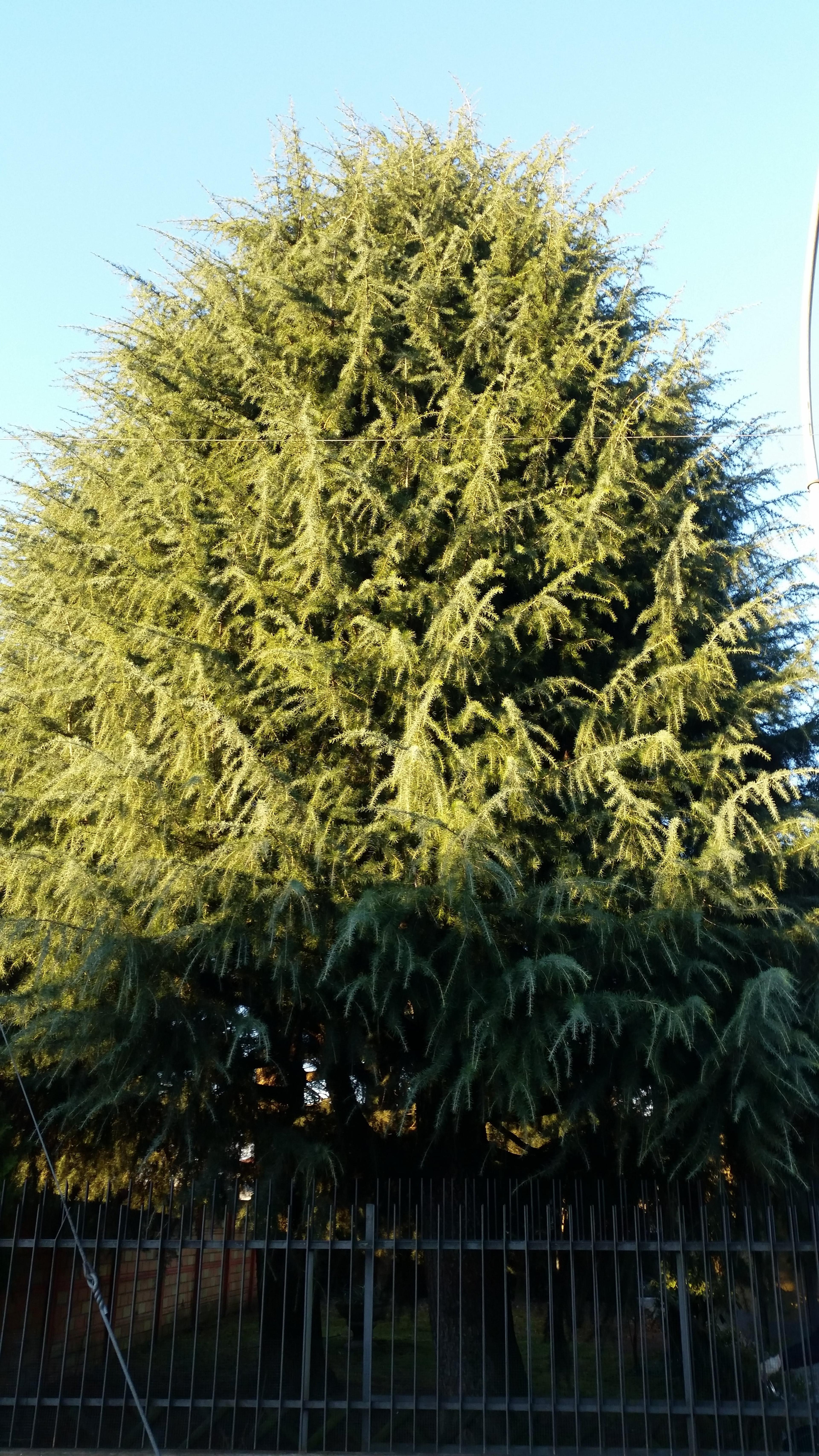 f7d045d0-7883-4b97-968a-34c0842ce5e7.jpeg
