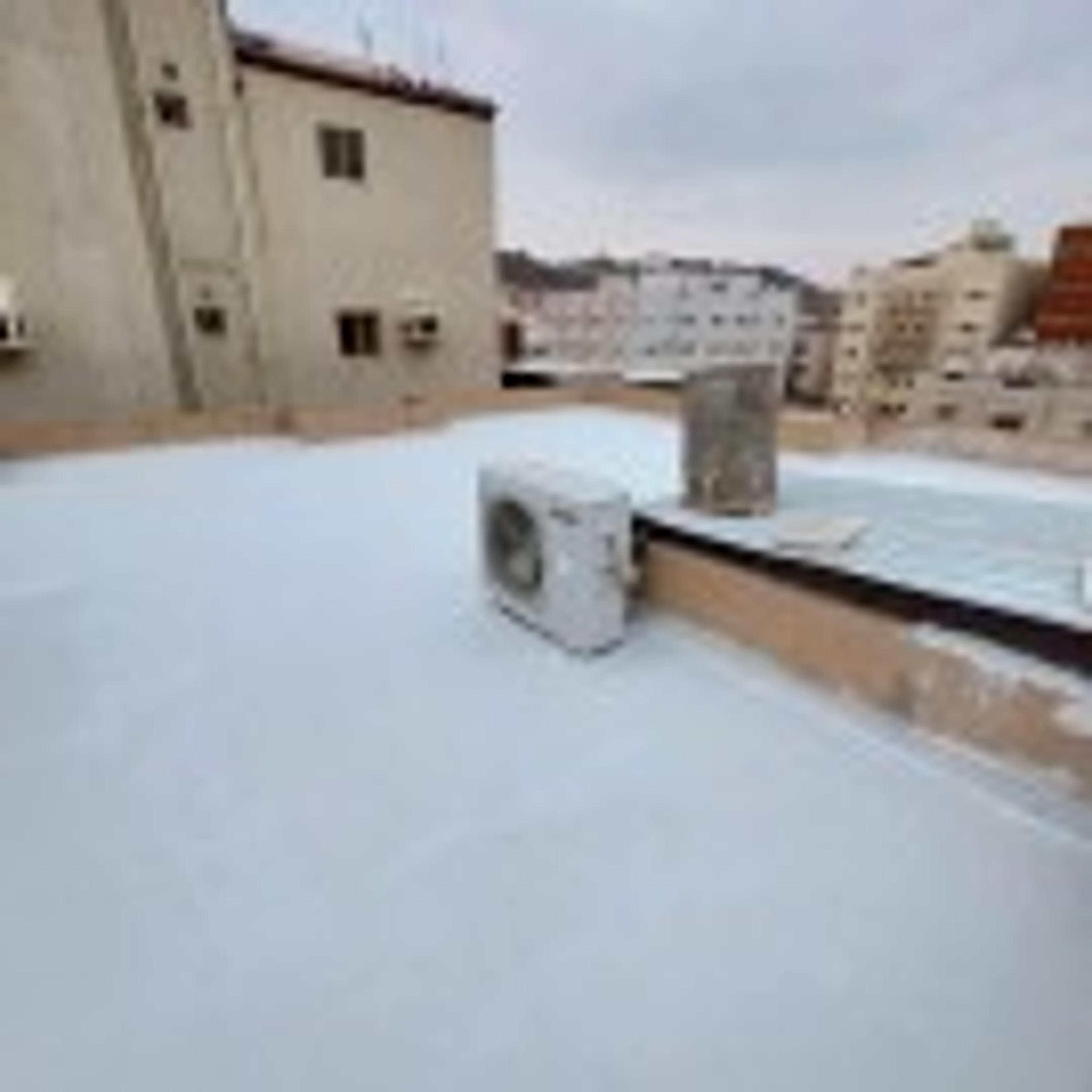 f8a06c94-5085-4778-88b7-df009f63428e.jpeg