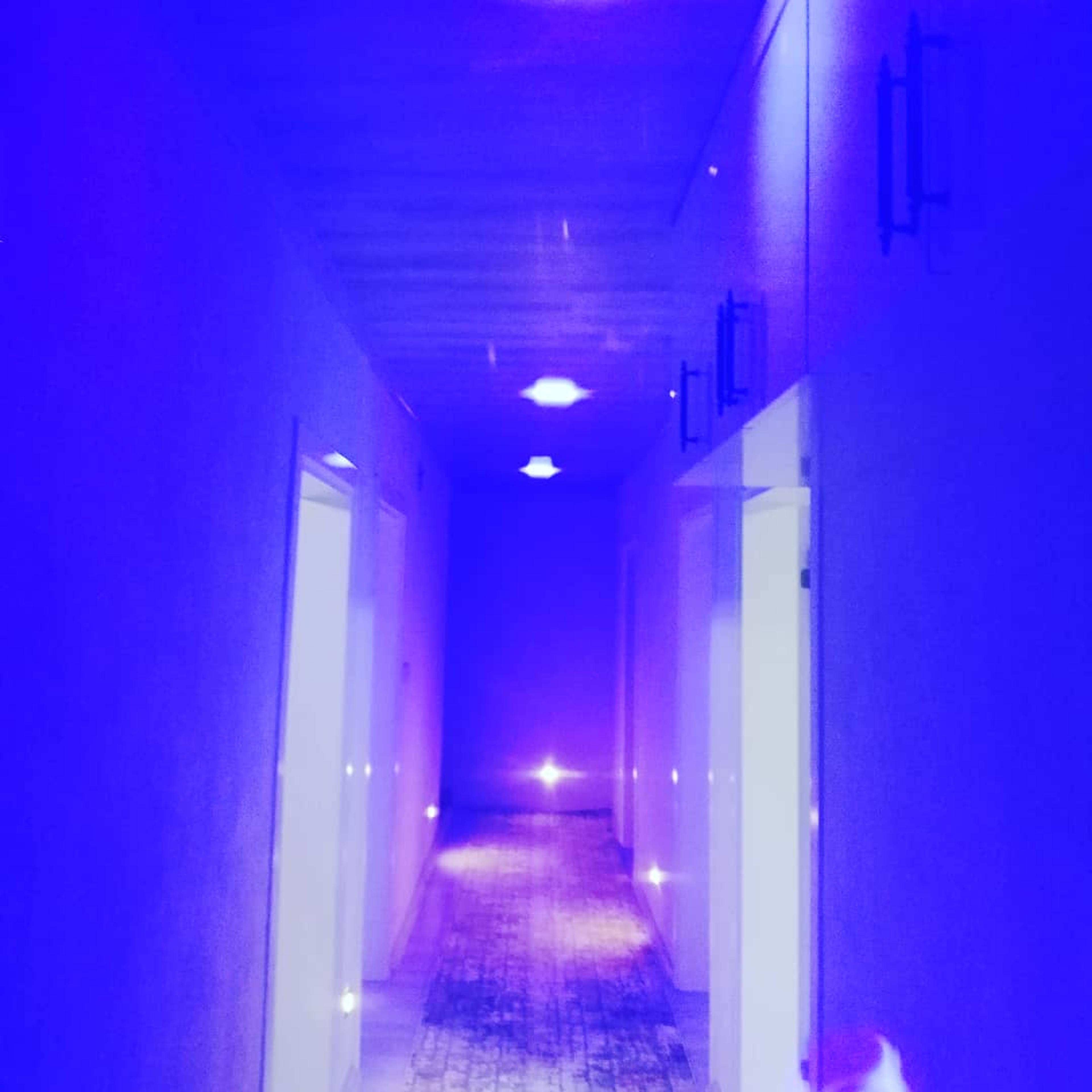 f8ce28e3-d52e-4554-b8c3-d6859626e959.jpeg