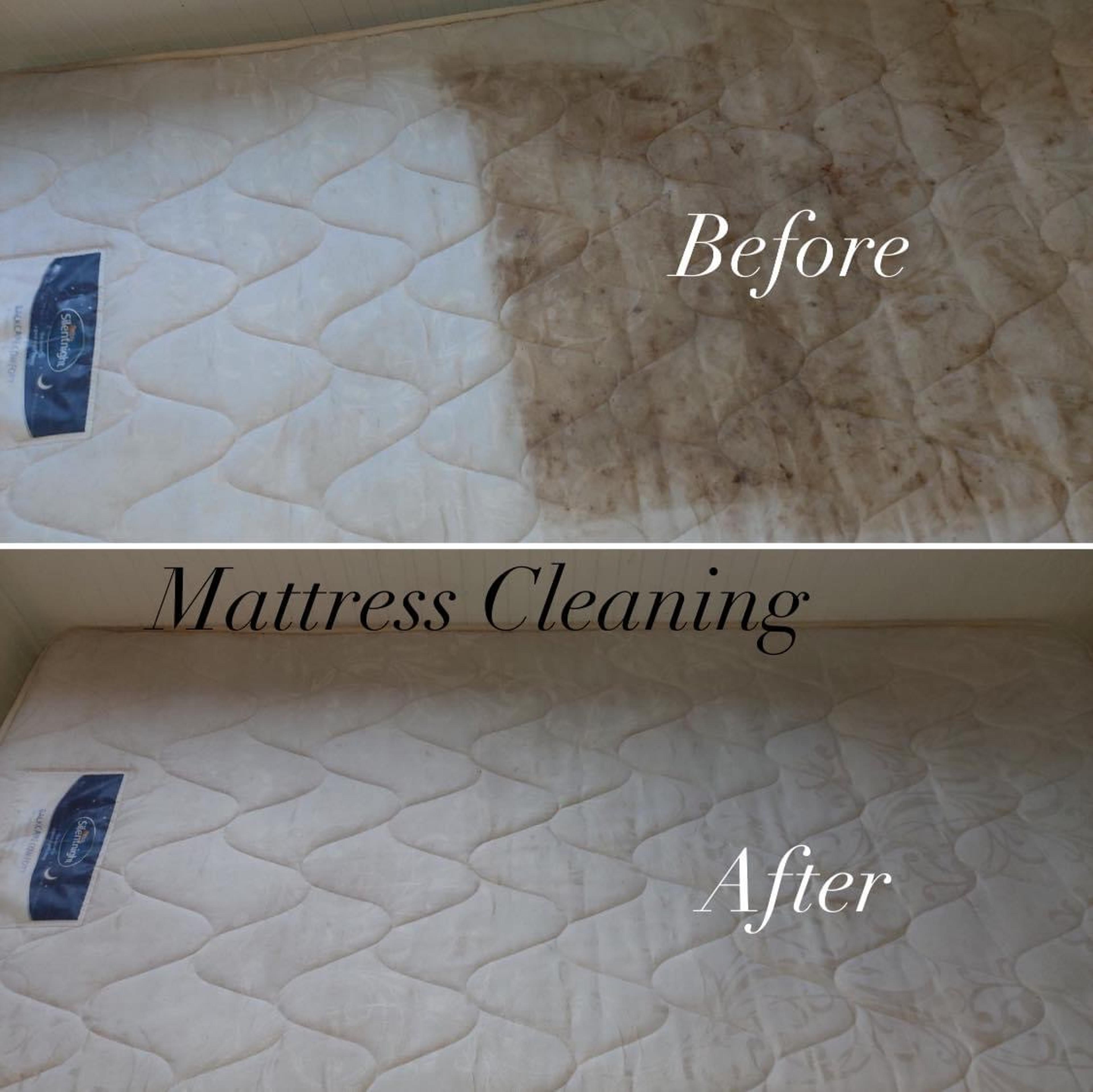 f8fe51b7-2a50-444c-98ff-4a035f2c2255.jpeg