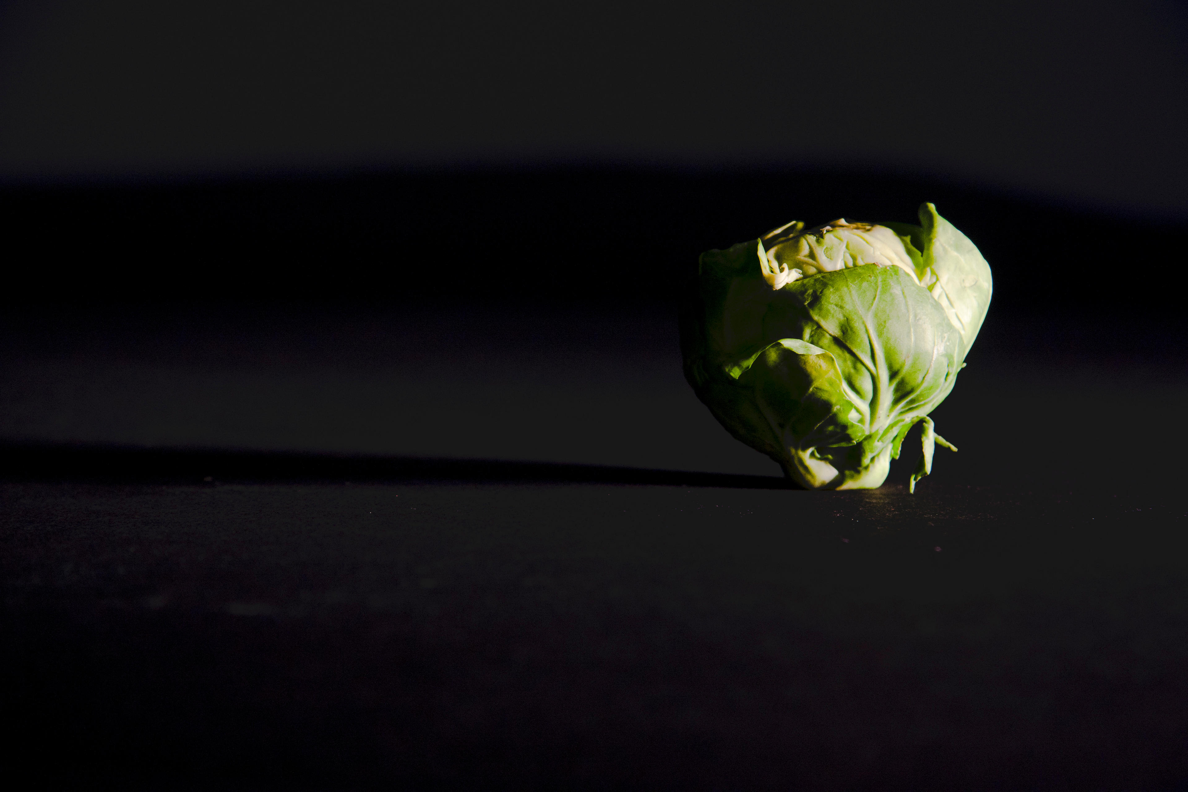 f9243f92-ca65-4c3d-85ff-b2c46c97fd14.jpeg
