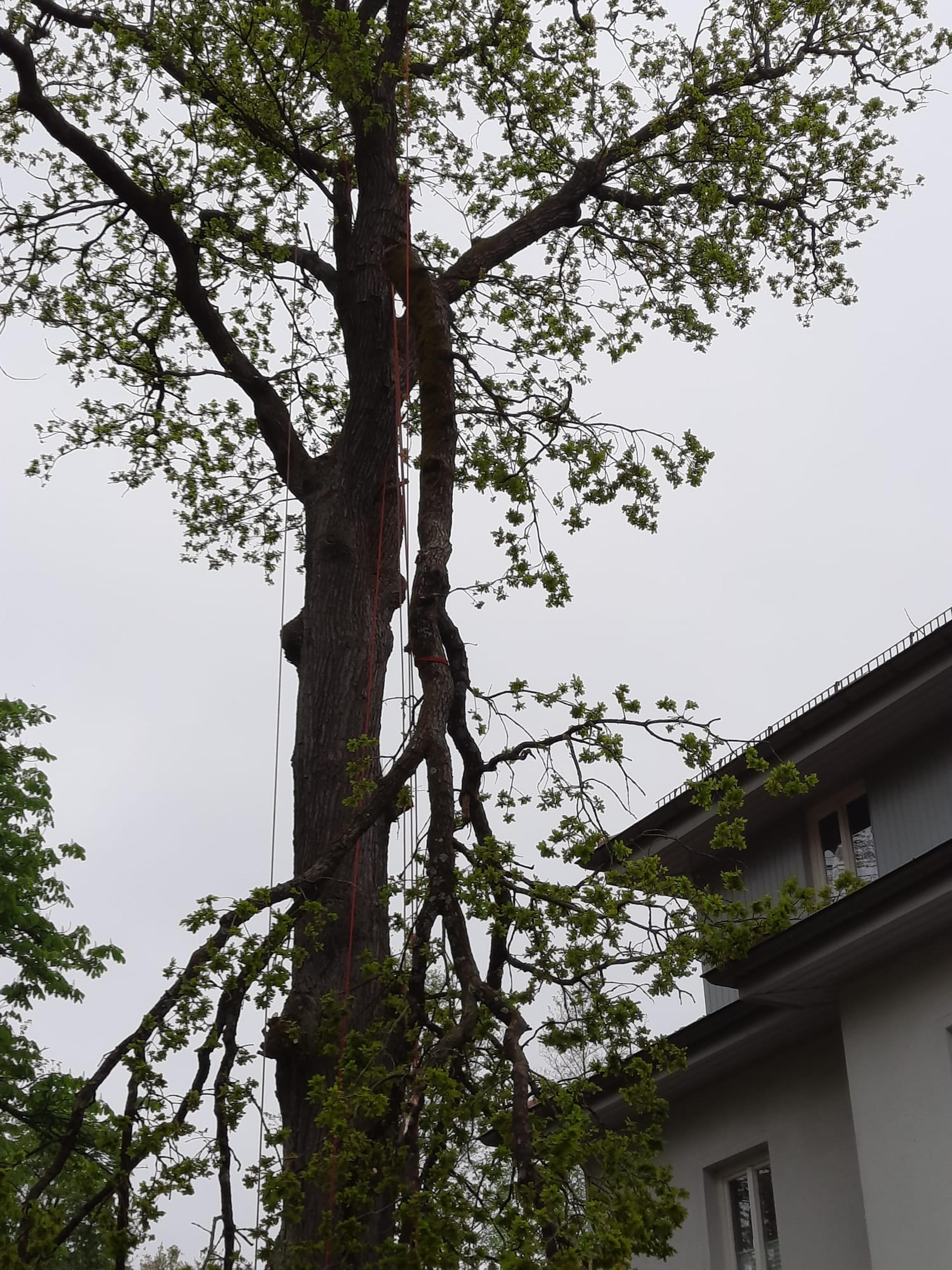 f9a66028-2a2a-4b83-8a7c-4637a8e99659.jpeg