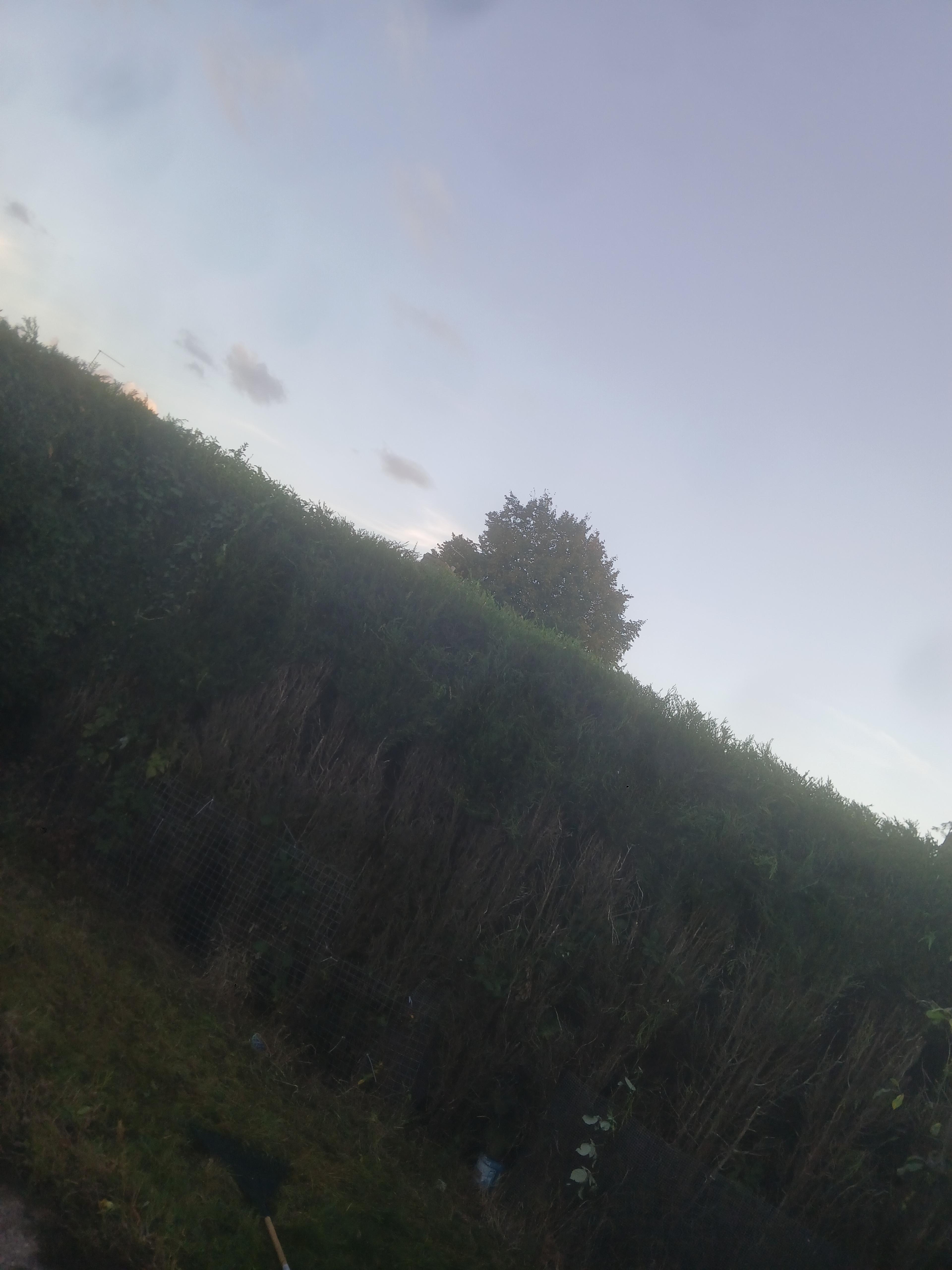 f9ca8e47-d017-4ff7-9091-97bf153288a8.jpeg