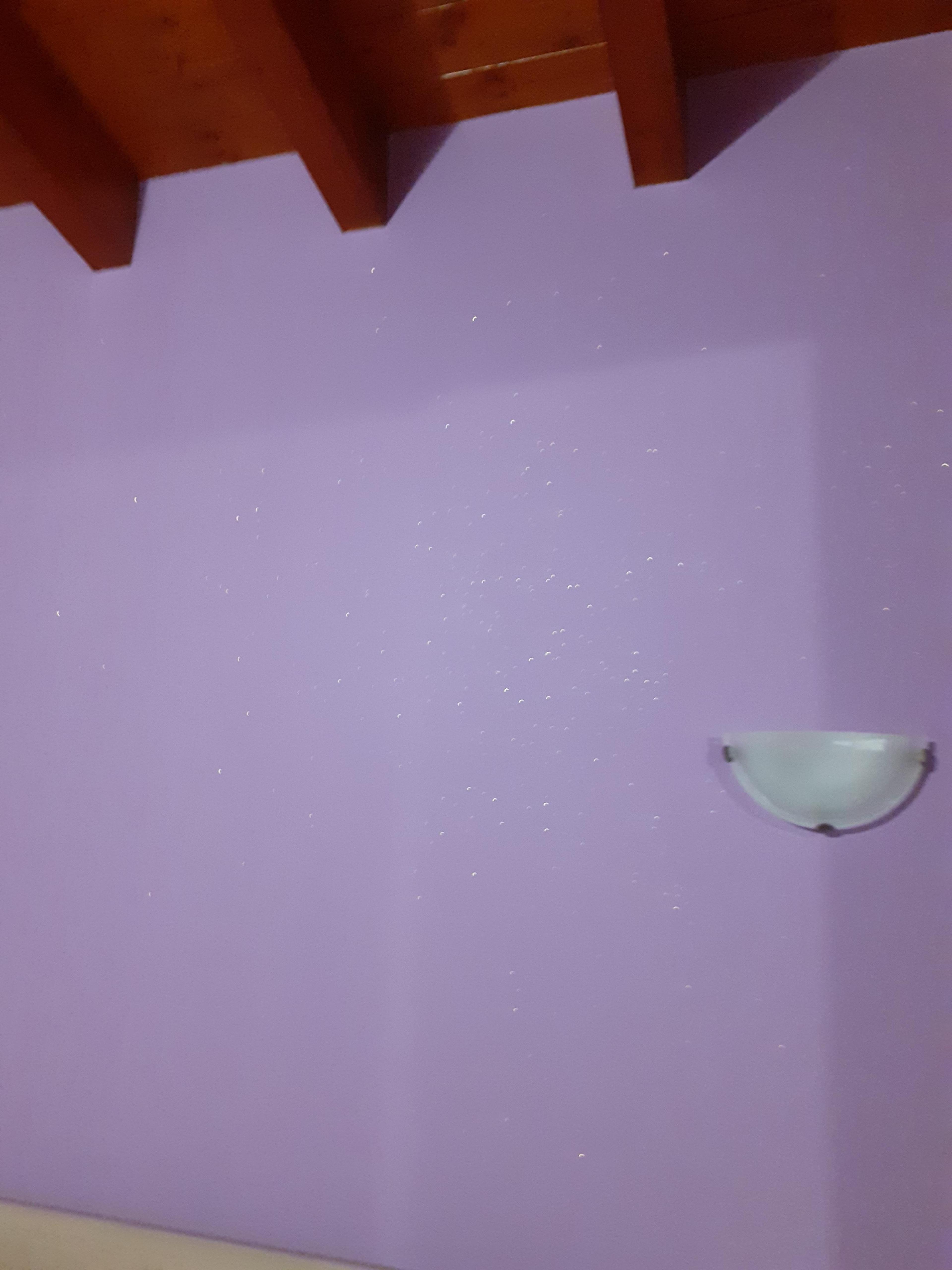 f9eef882-82a7-49ec-895e-7521f95e8744.jpeg