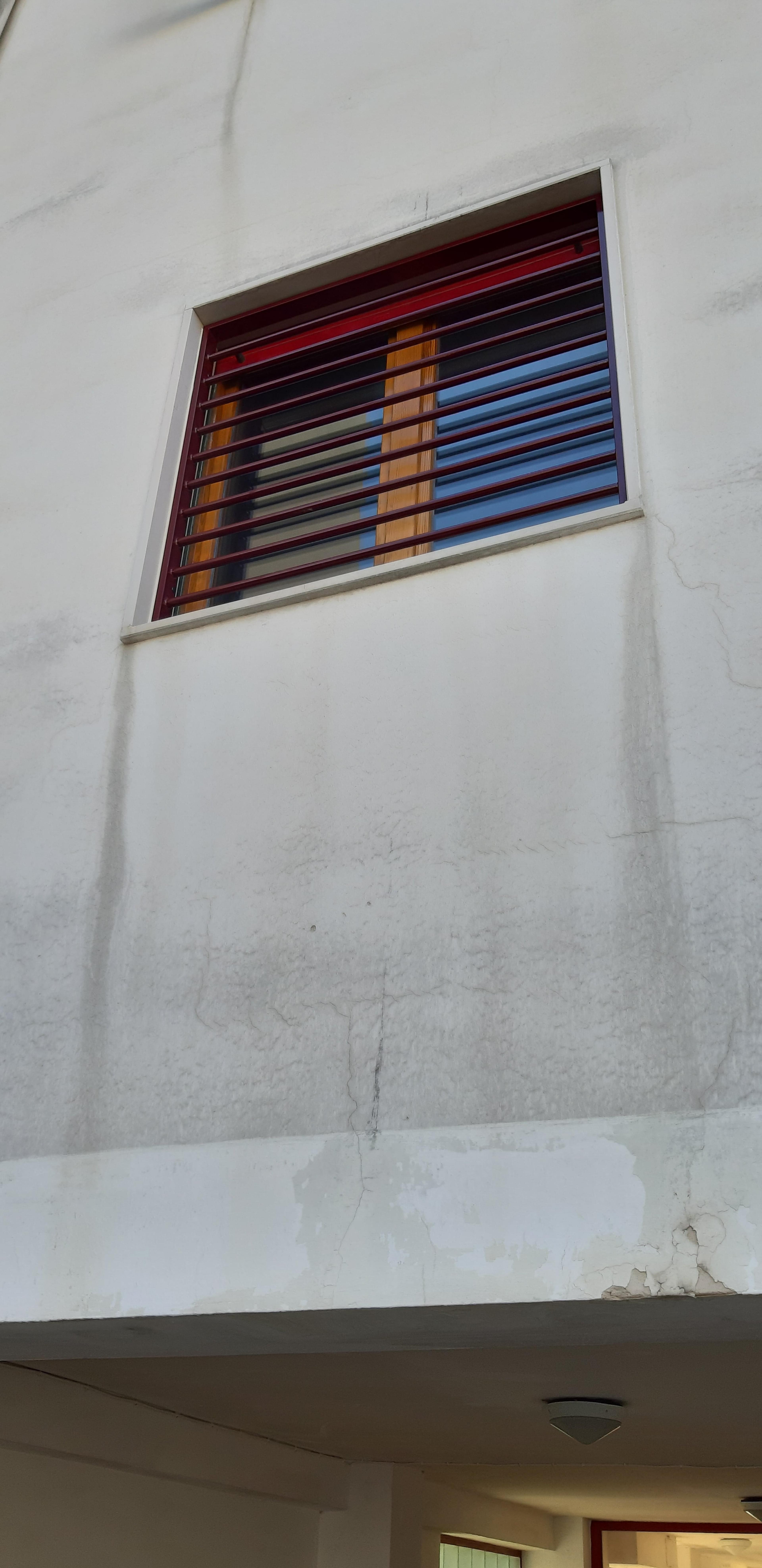 fa090c93-bf0f-4c73-bddc-864c99aa60d7.jpeg