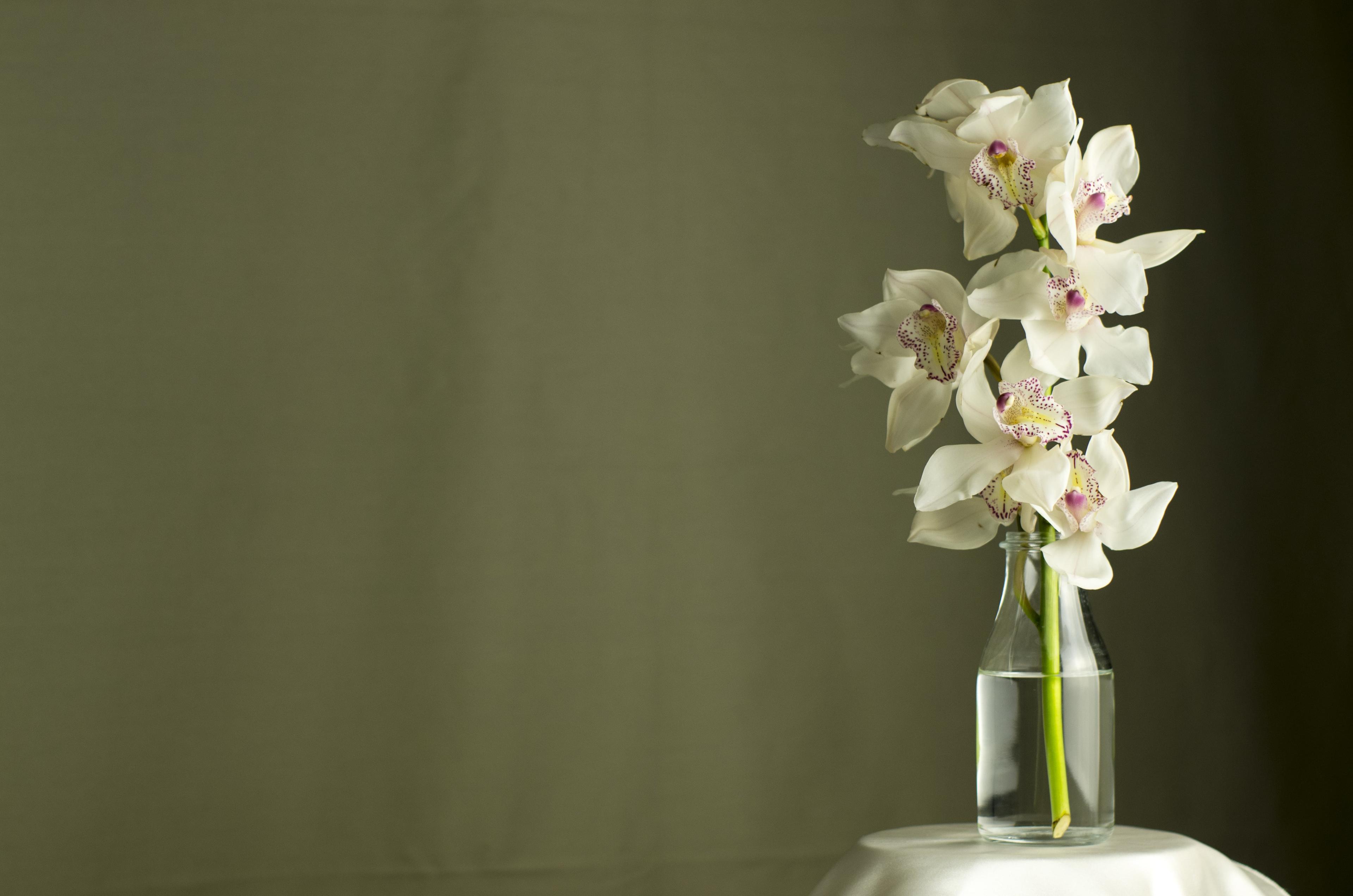 fae22888-feda-46ae-987a-637daf054bb1.jpeg