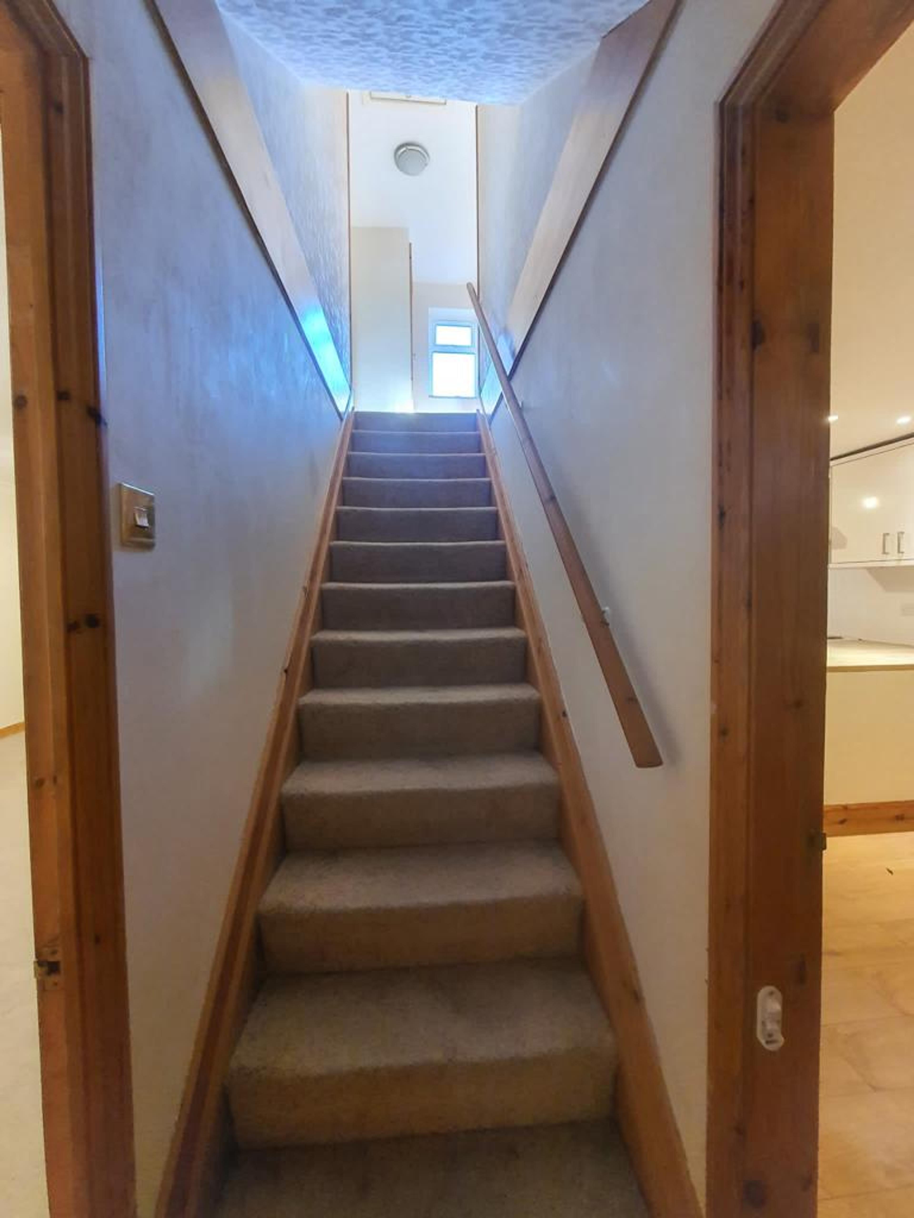 fb88209f-c7ca-4bb5-a672-e0785f1c3761.jpeg