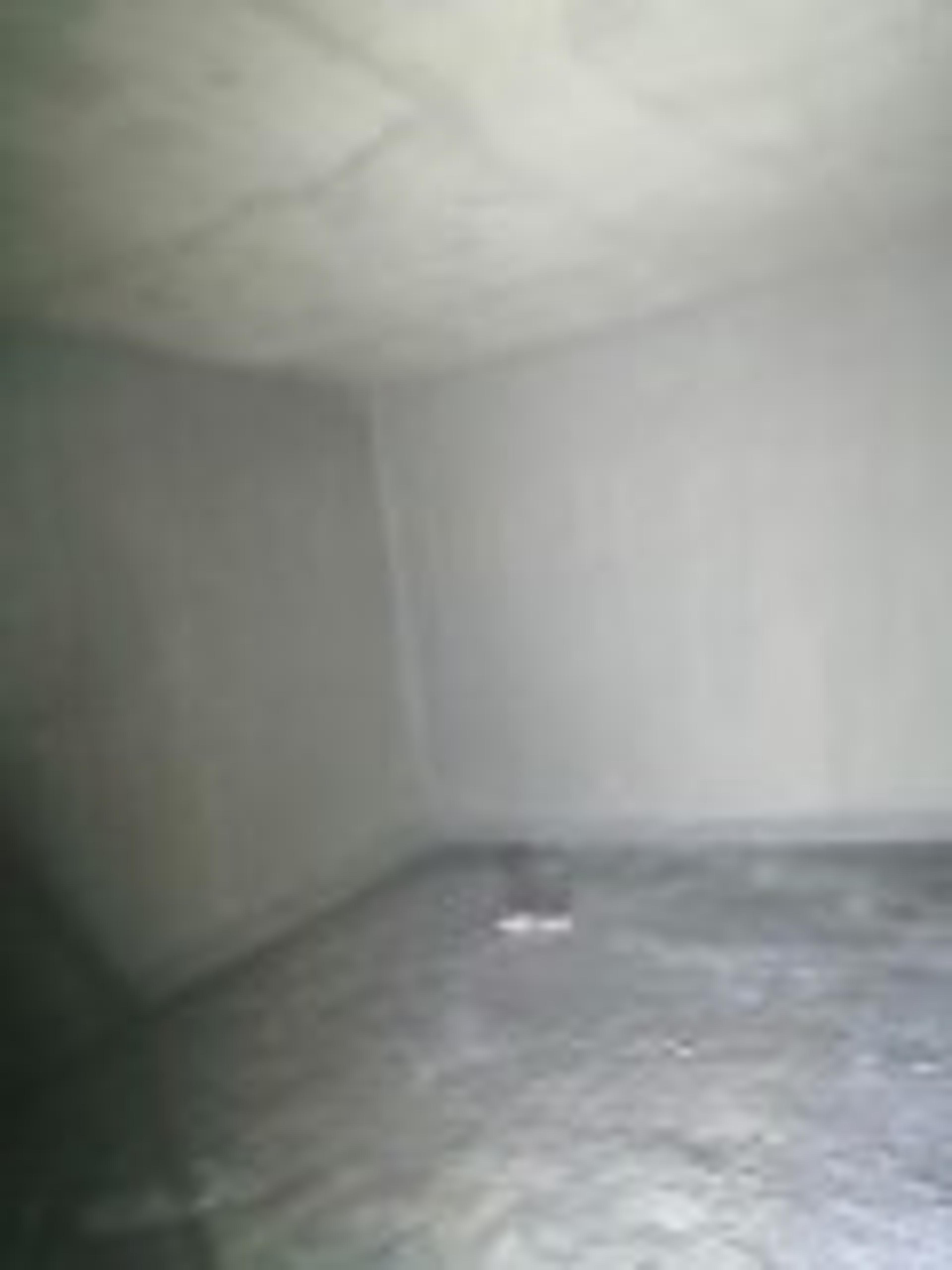 fb99145f-259b-47bd-837f-db77244788ff.jpeg