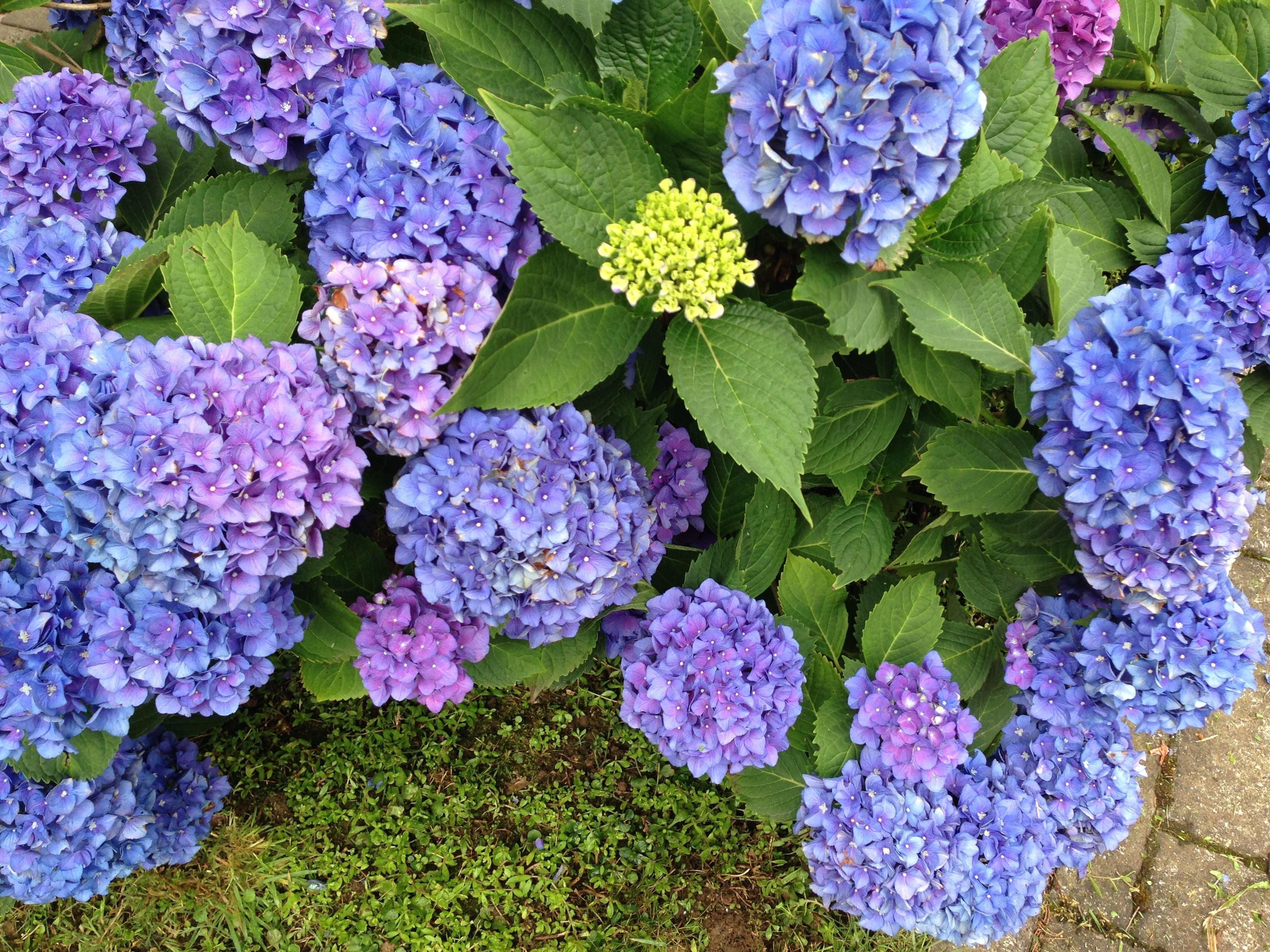 fc04c697-8e4f-4c38-90bd-a03846a5ee42.jpeg
